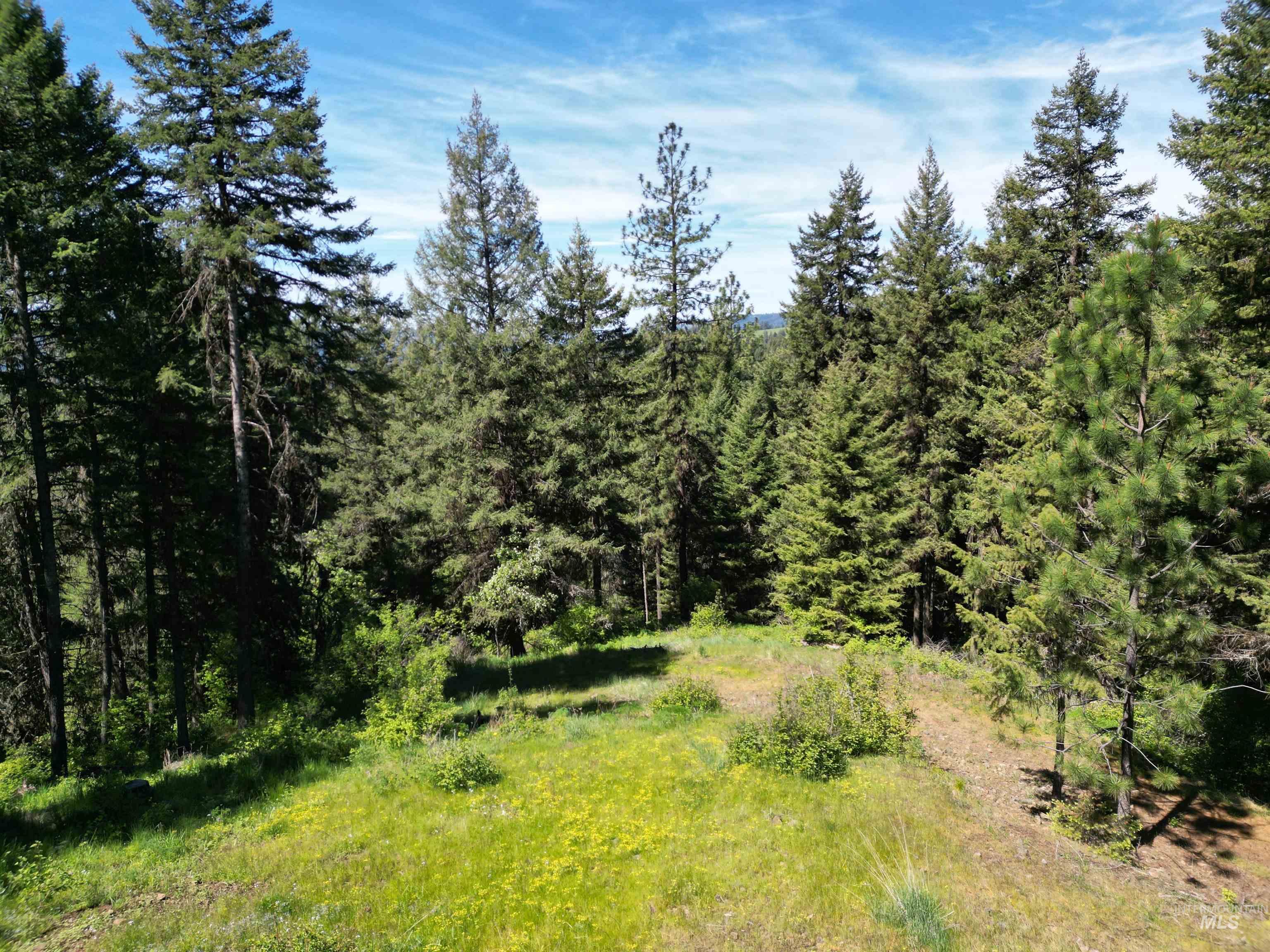 997 Norton Knob Ln Property Photo 33