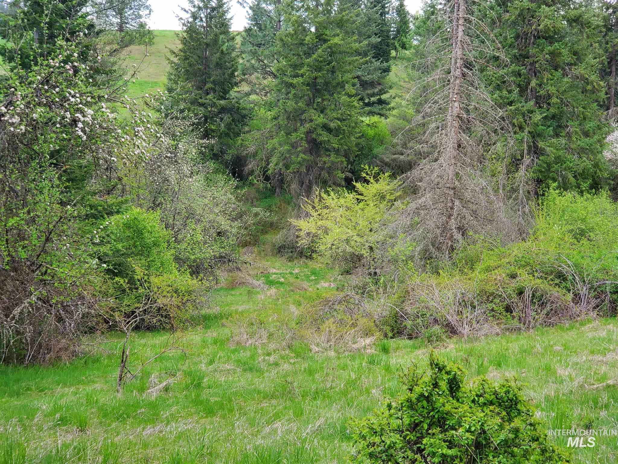 Tbd Clearwater Rd Property Photo 5