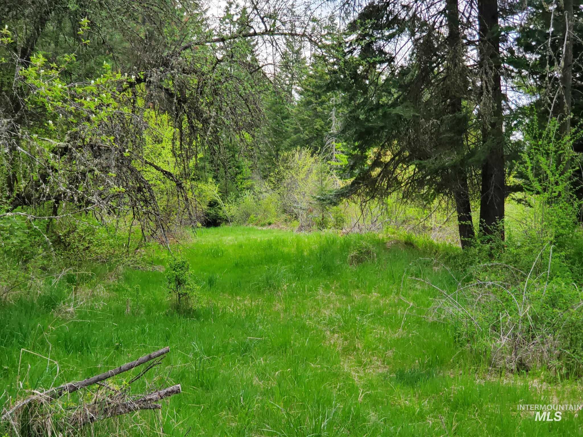 Tbd Clearwater Rd Property Photo 6