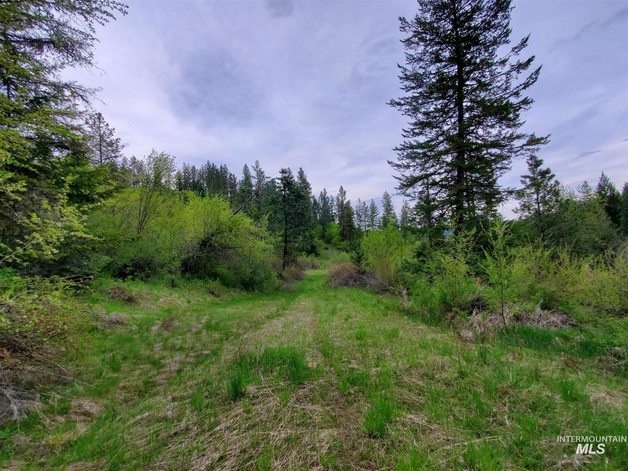 Tbd Clearwater Rd Property Photo 8