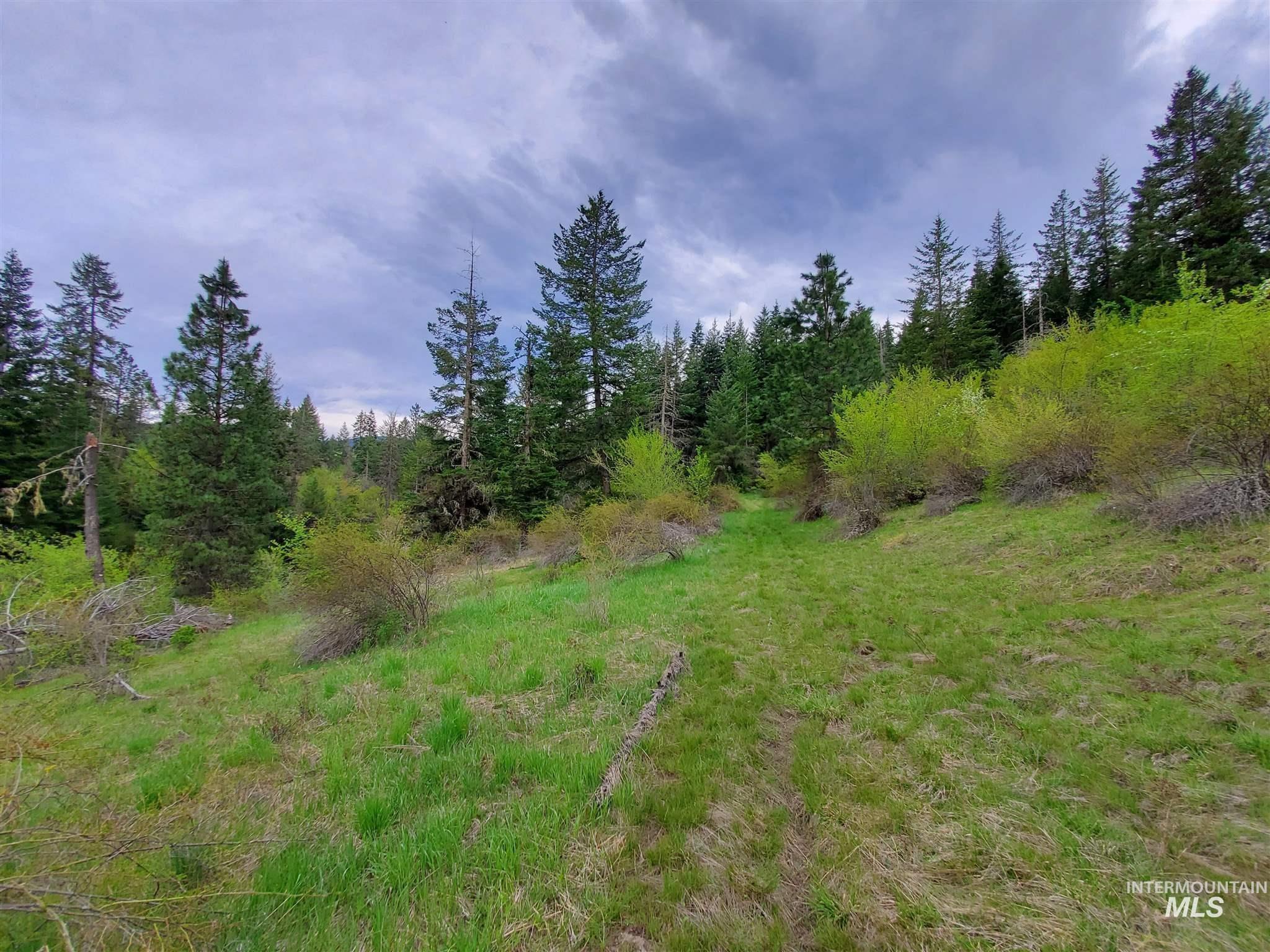 Tbd Clearwater Rd Property Photo 9