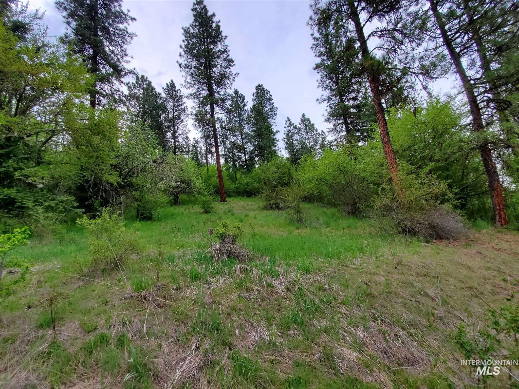 Tbd Clearwater Rd Property Photo 10