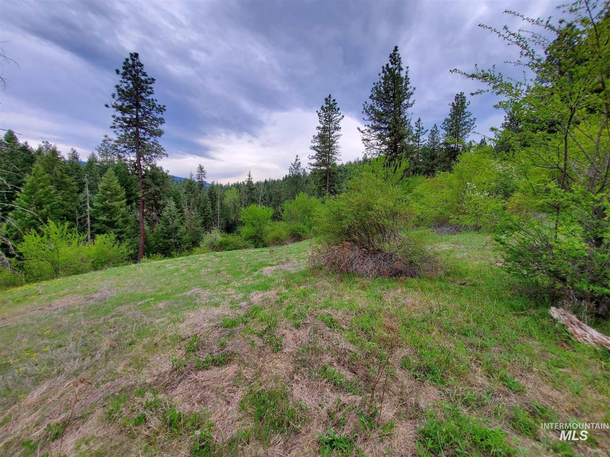 Tbd Clearwater Rd Property Photo 13