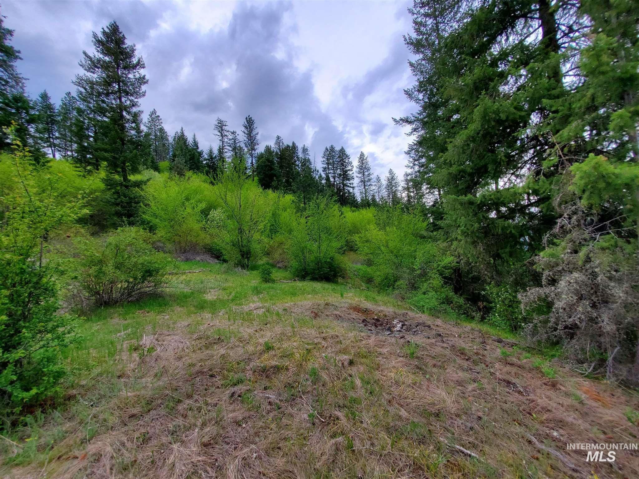Tbd Clearwater Rd Property Photo 14