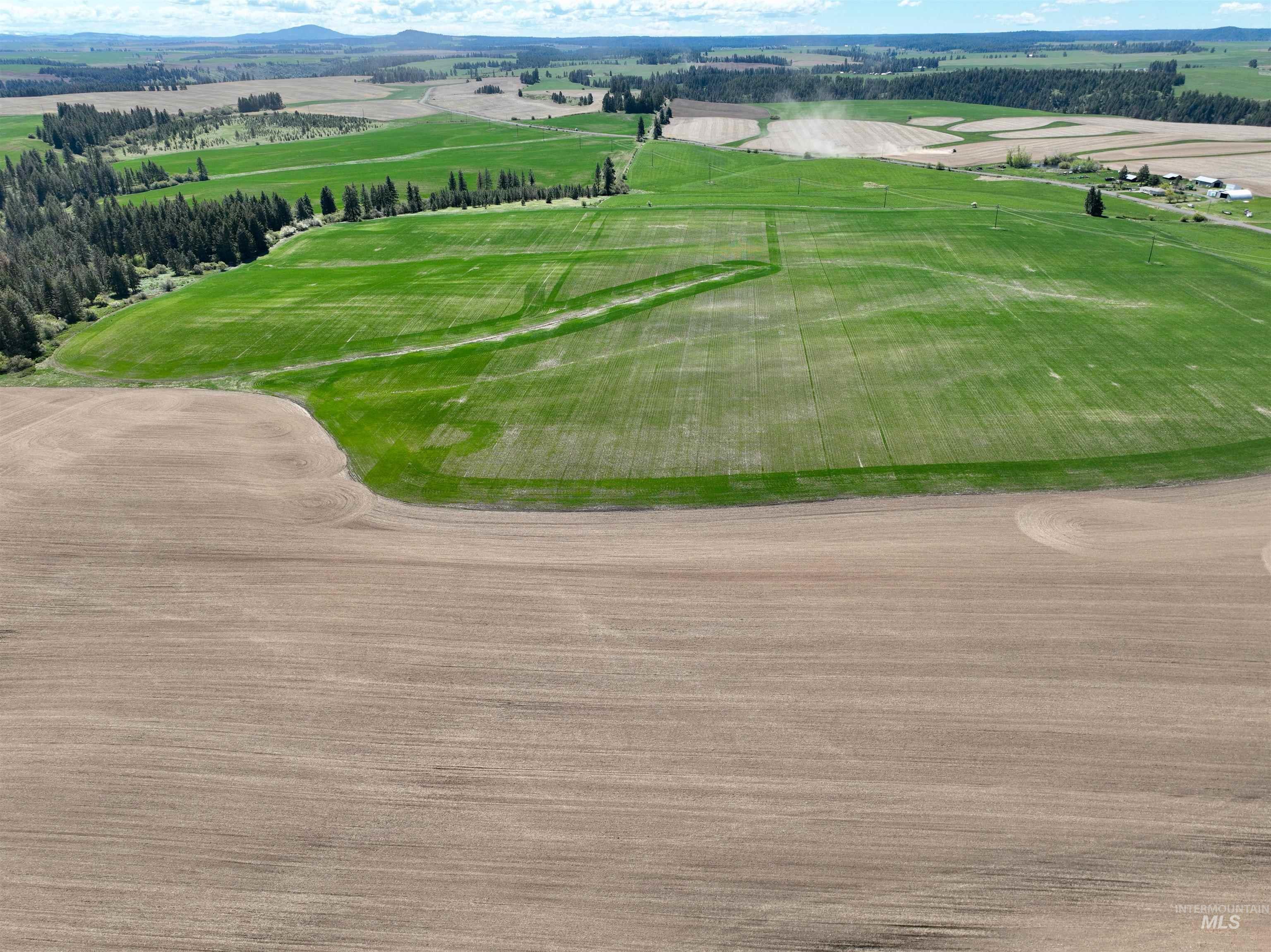 Tbd Fowler Rd Property Photo 6
