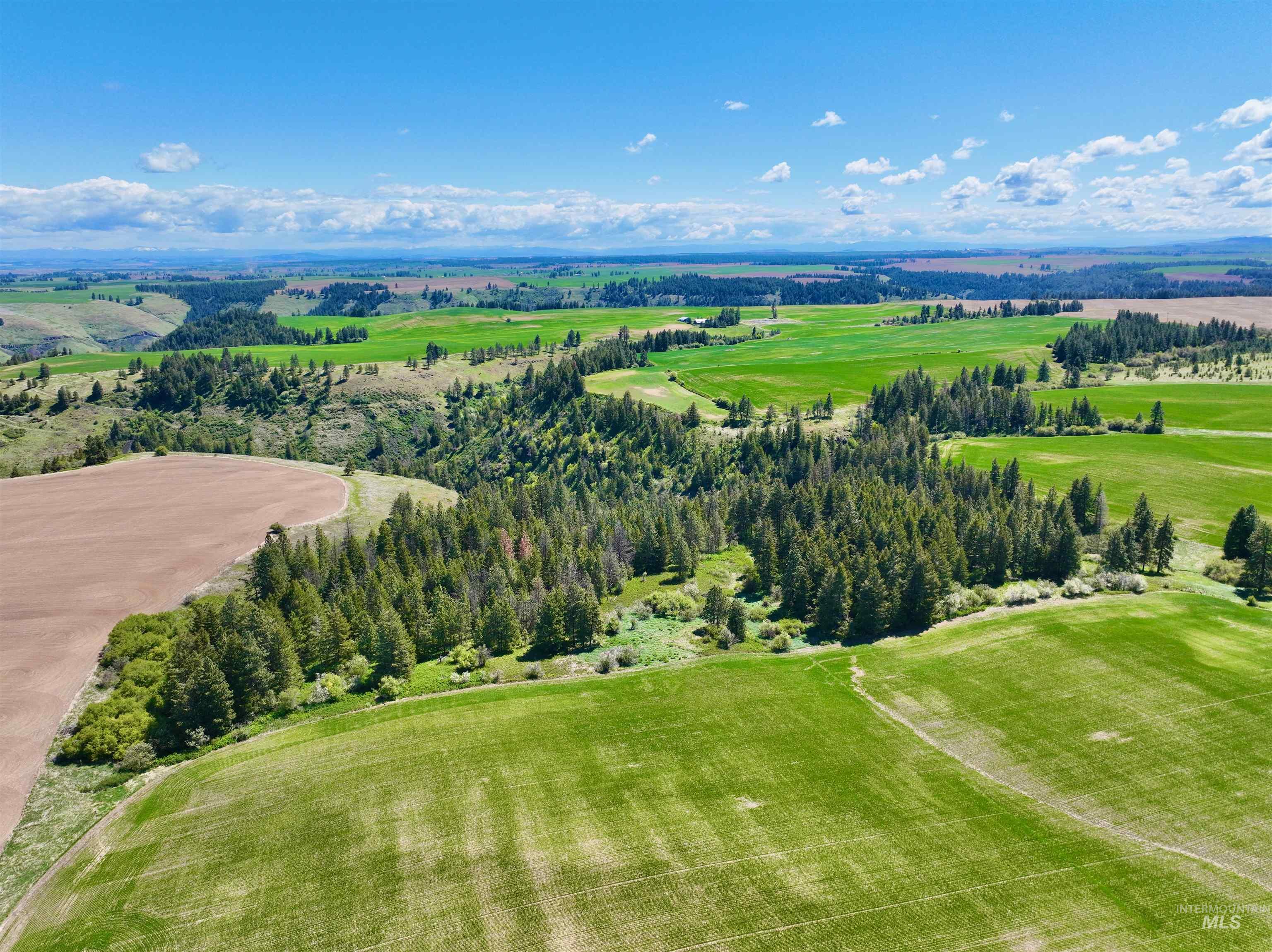 Tbd Fowler Rd Property Photo 8