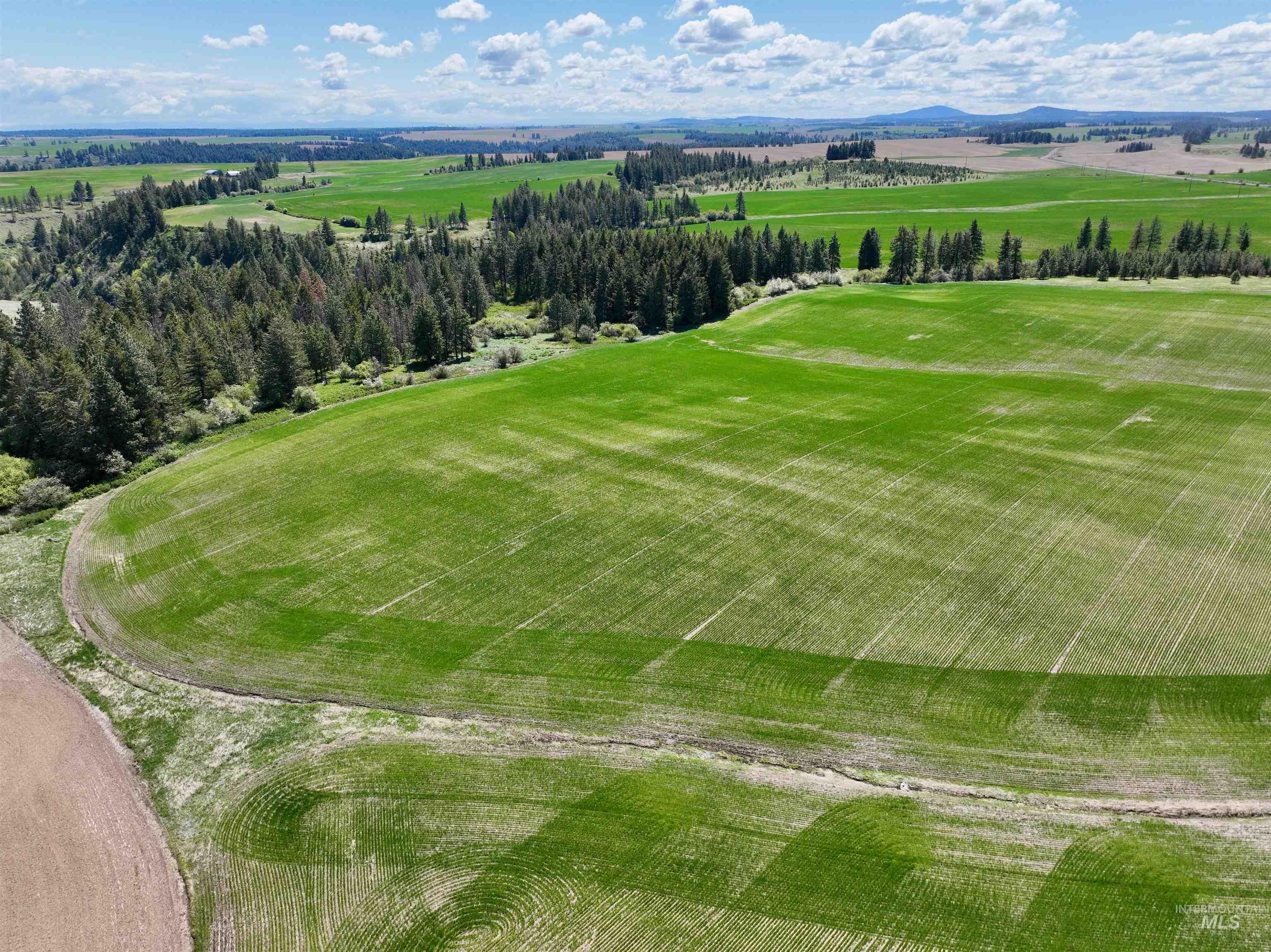 Tbd Fowler Rd Property Photo 9