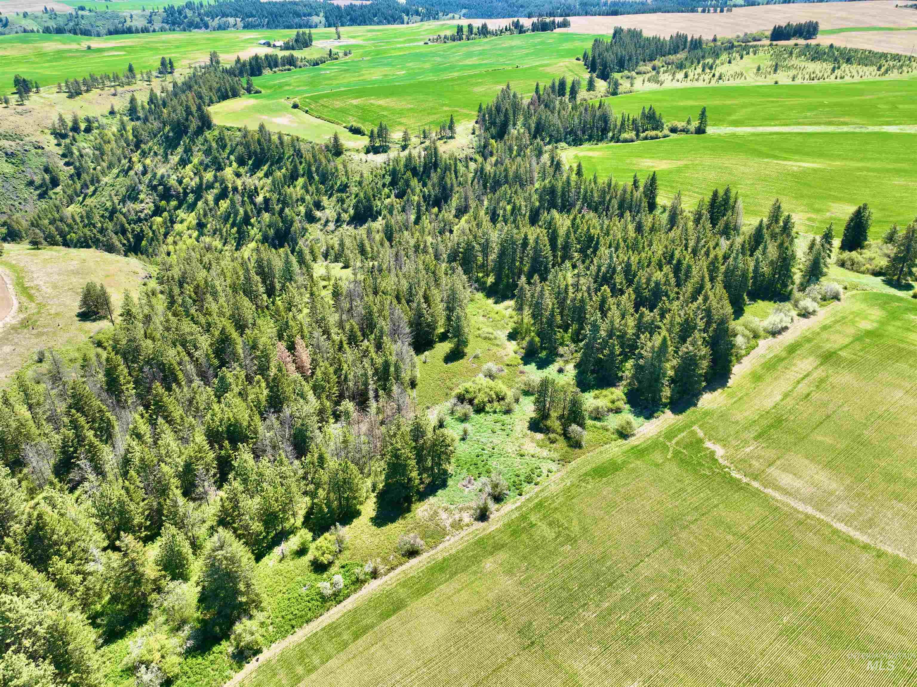 Tbd Fowler Rd Property Photo 10