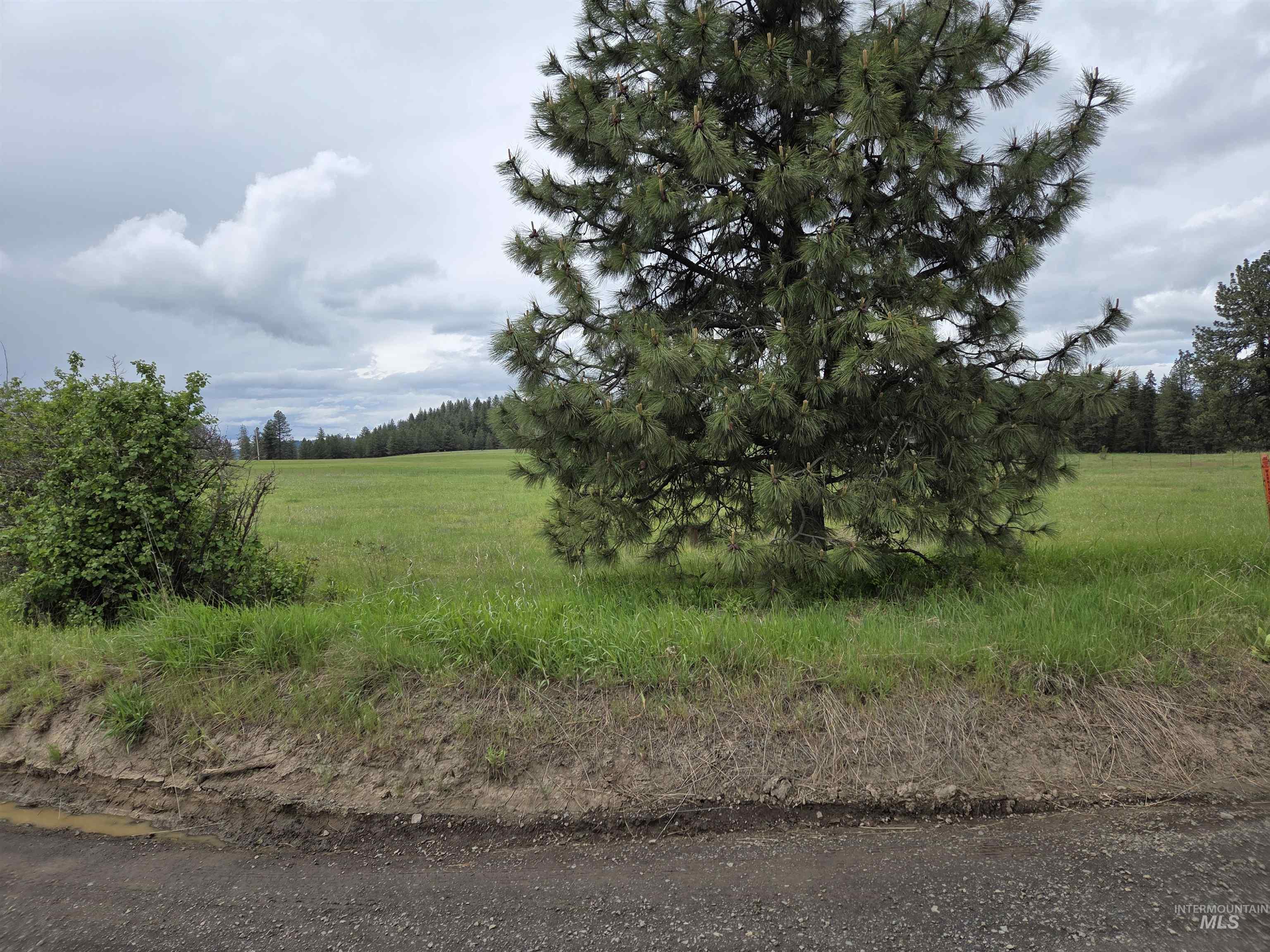 Tbd Canyon Creek Road Property Photo