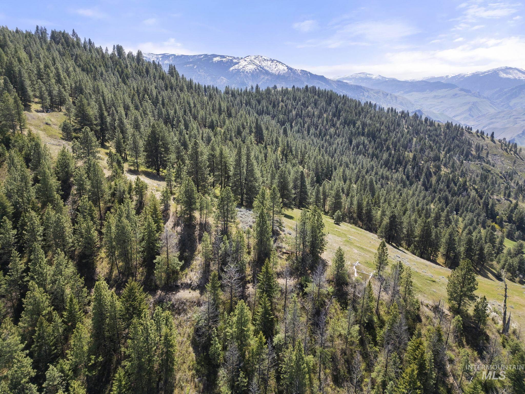 Tbd Lightning Creek Property Photo 17