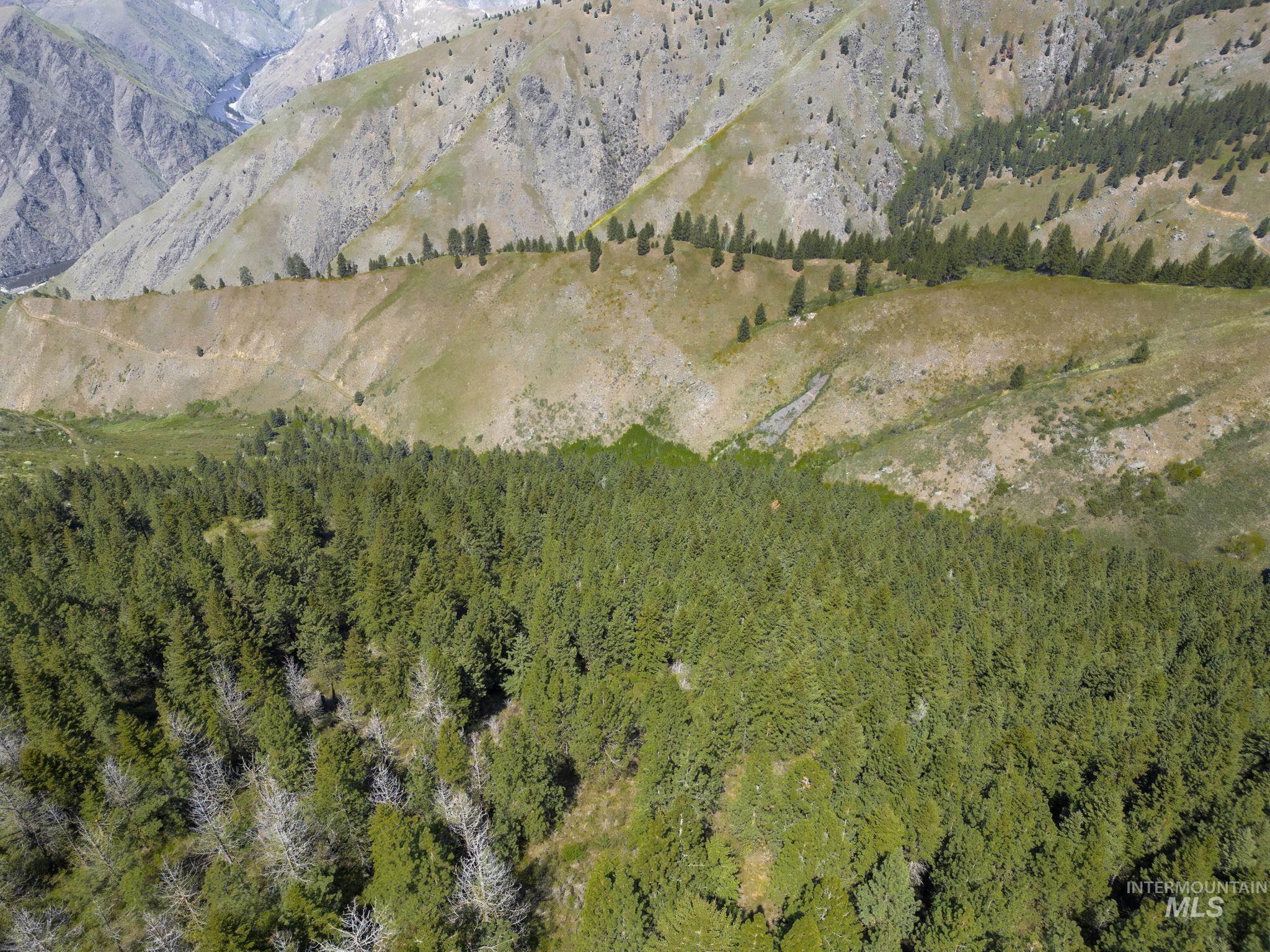 Tbd Lightning Creek Property Photo 4