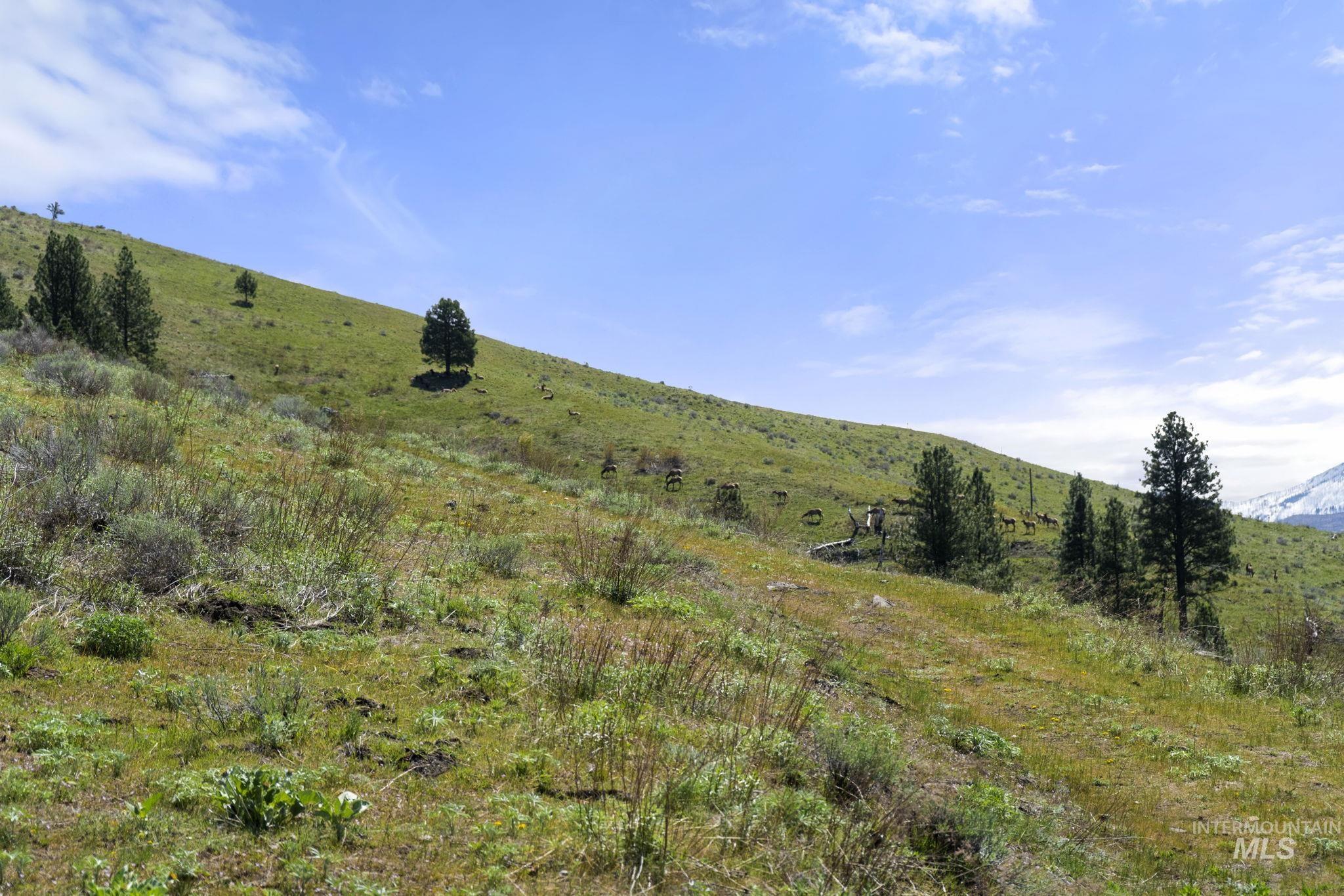 Tbd Lightning Creek Property Photo 7