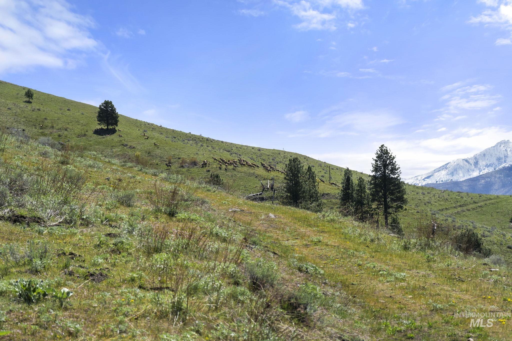 Tbd Lightning Creek Property Photo 8