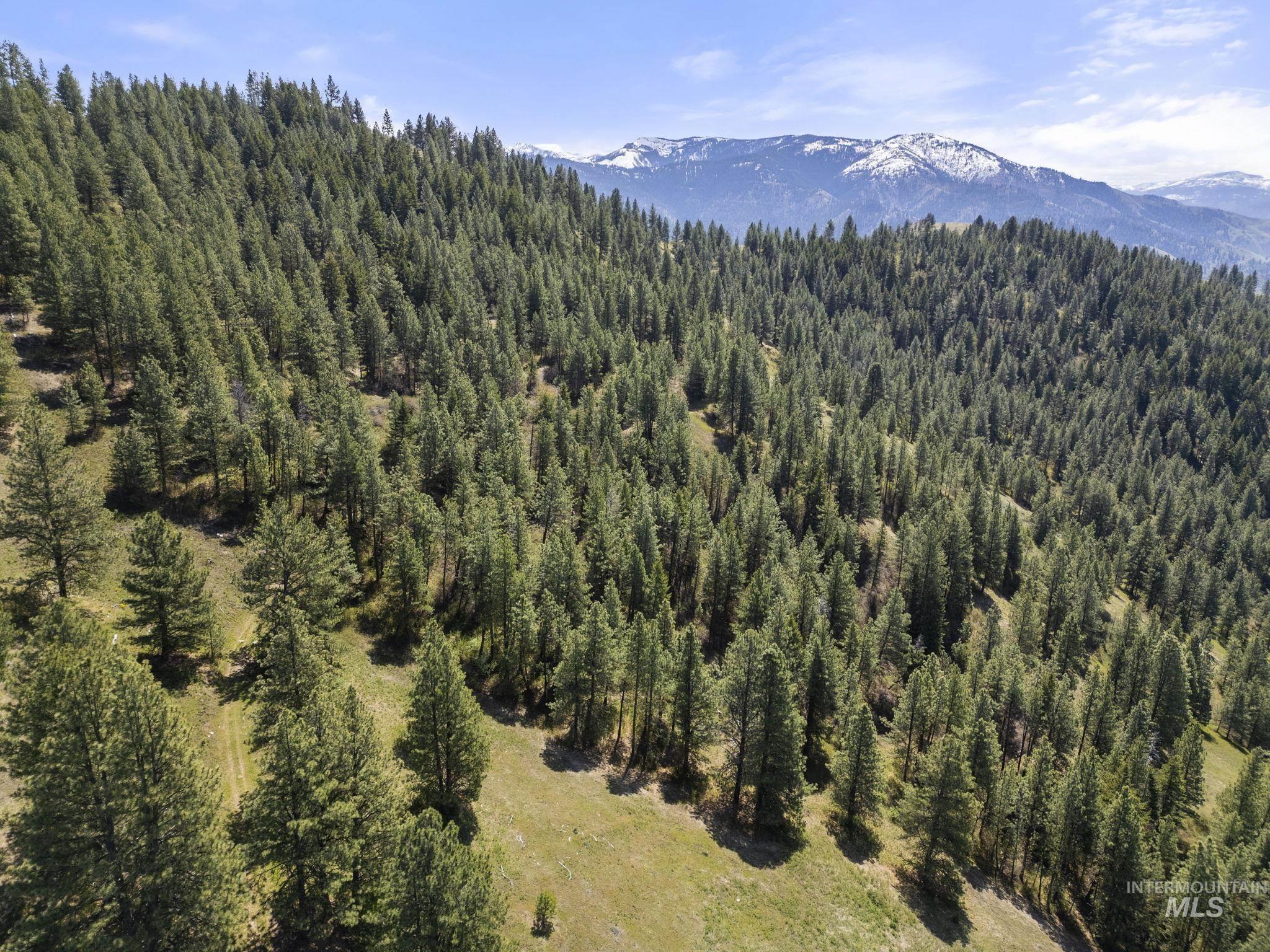 Tbd Lightning Creek Property Photo 9