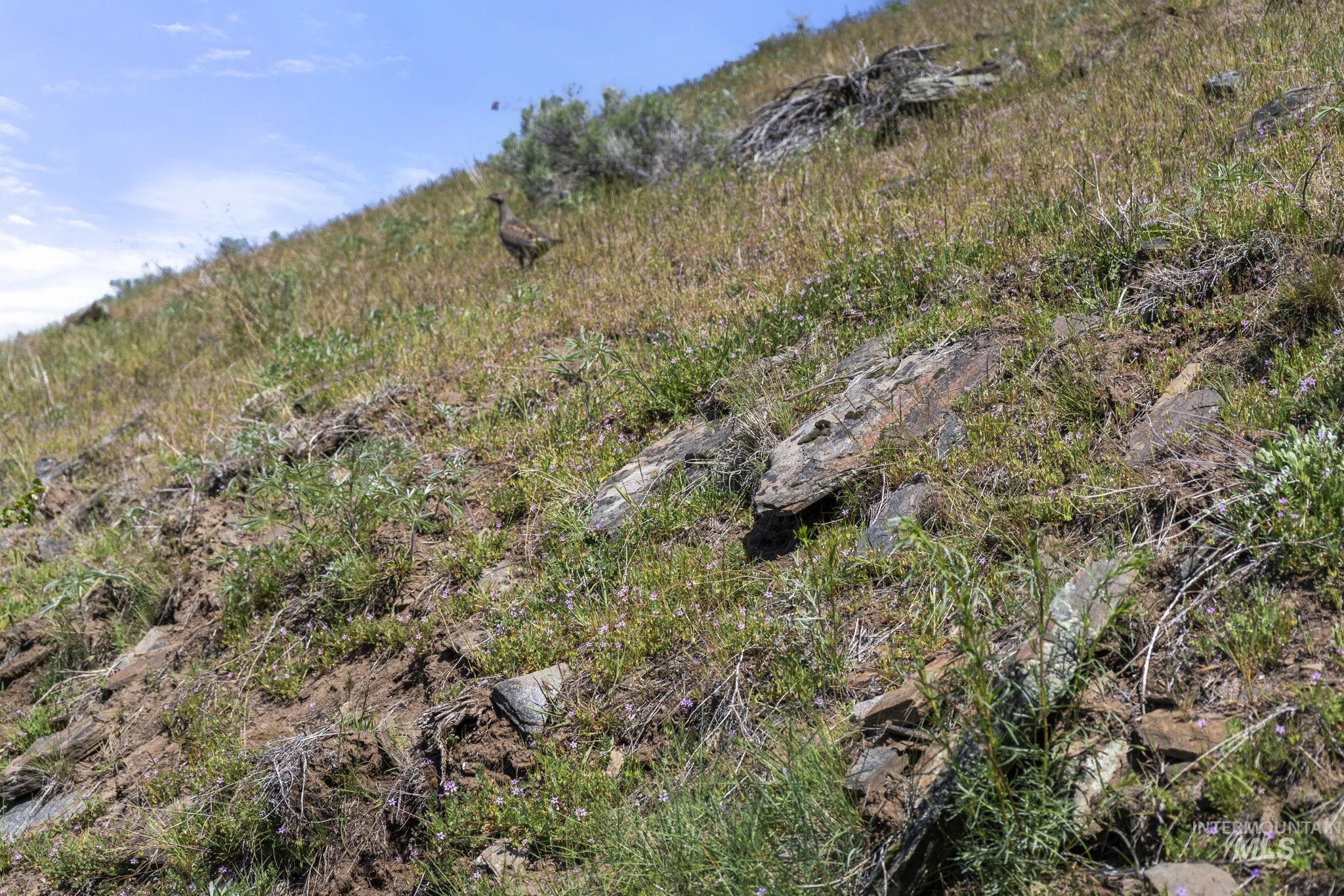 Tbd Lightning Creek Property Photo 14