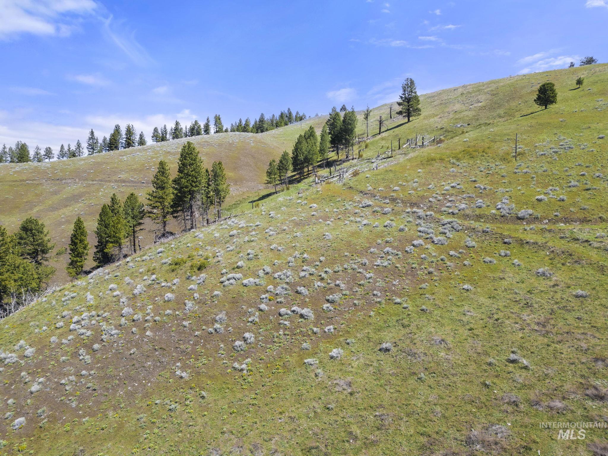 Tbd Lightning Creek Property Photo 15