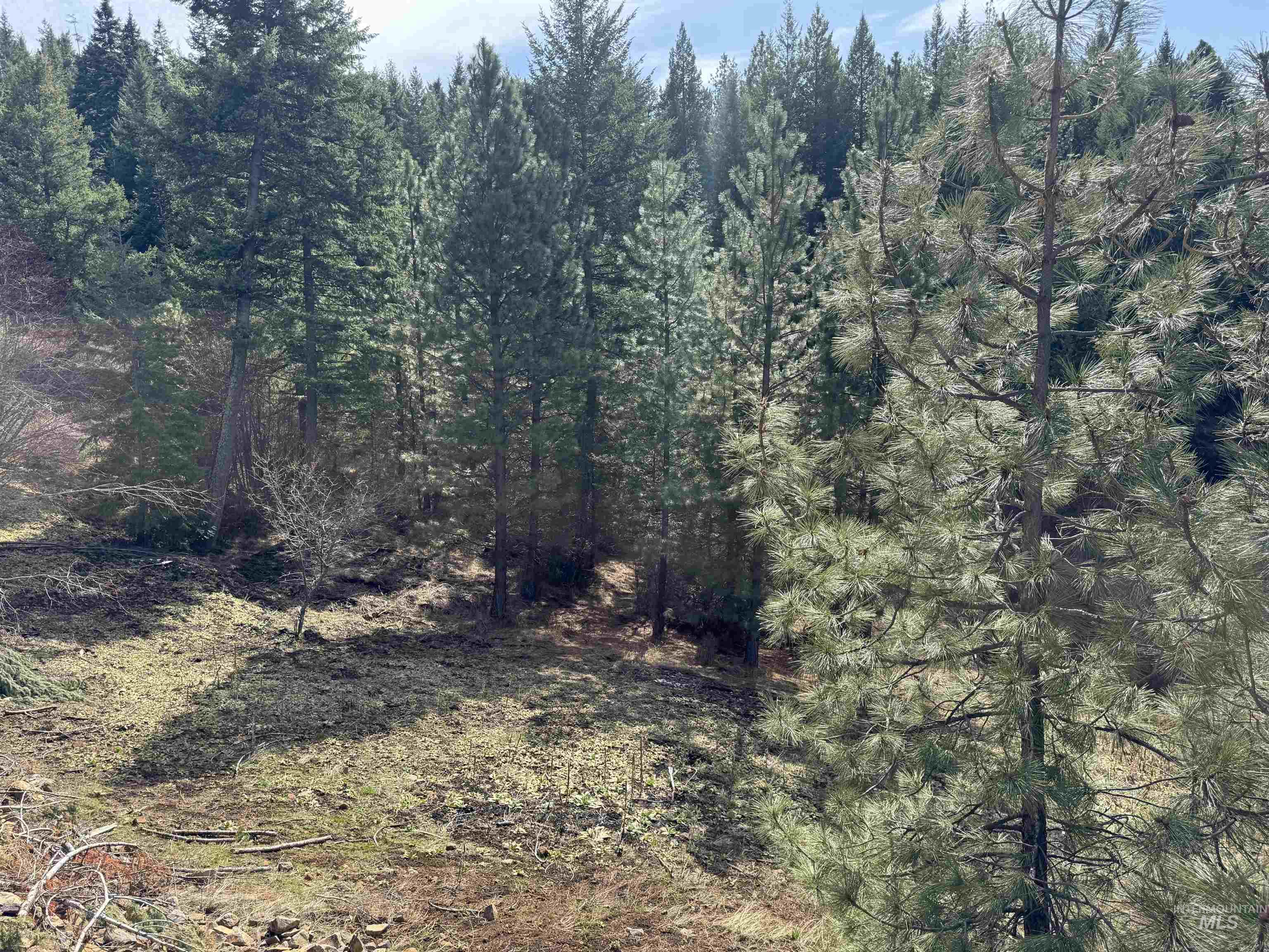 2630 Old Whitebird Hill Road Property Photo 33