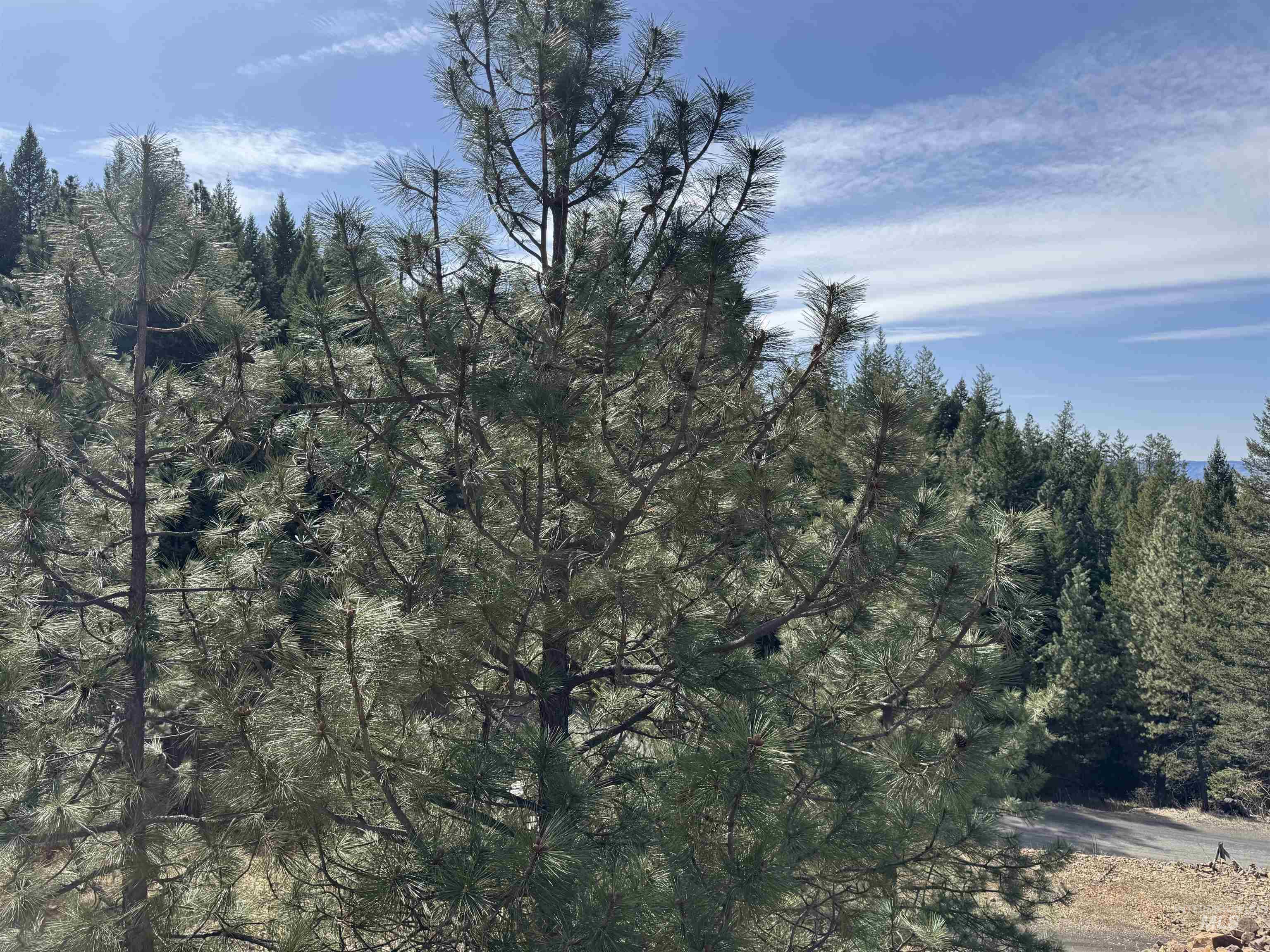2630 Old Whitebird Hill Road Property Photo 34