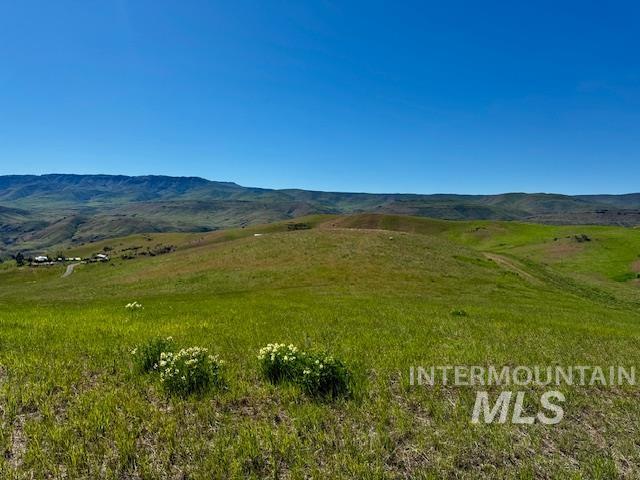 12acres P-e Liberty Rd Property Photo 2