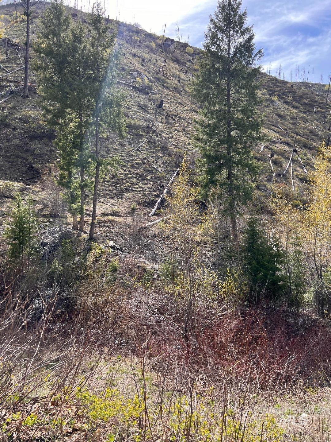 Quartz Creek Rd. Property Photo 1