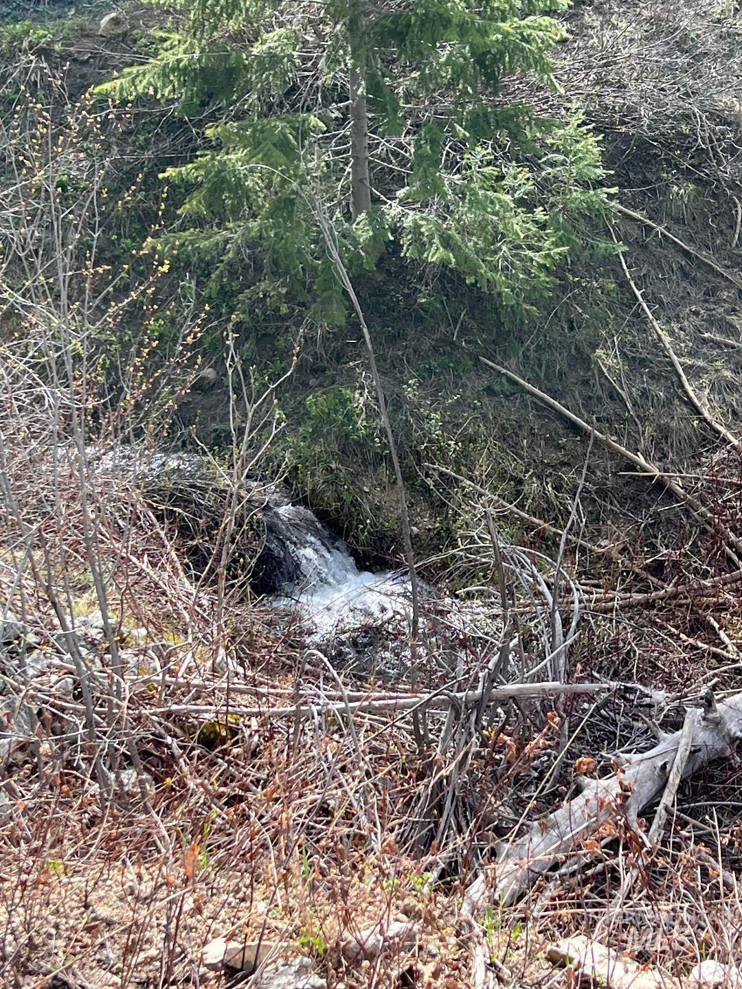 Quartz Creek Rd. Property Photo 2