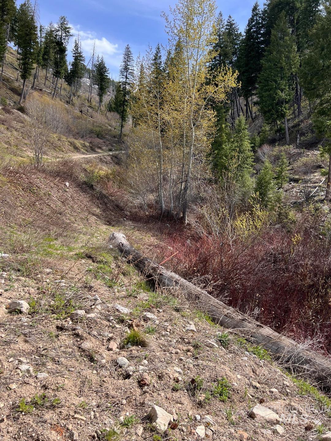 Quartz Creek Rd. Property Photo 3