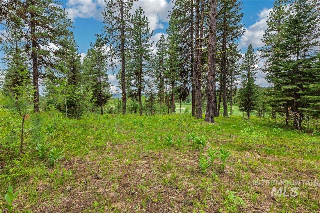 Lots 4 & 5 Whitetail Dr Property Photo 14