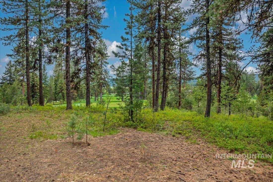Lots 4 & 5 Whitetail Dr Property Photo 17