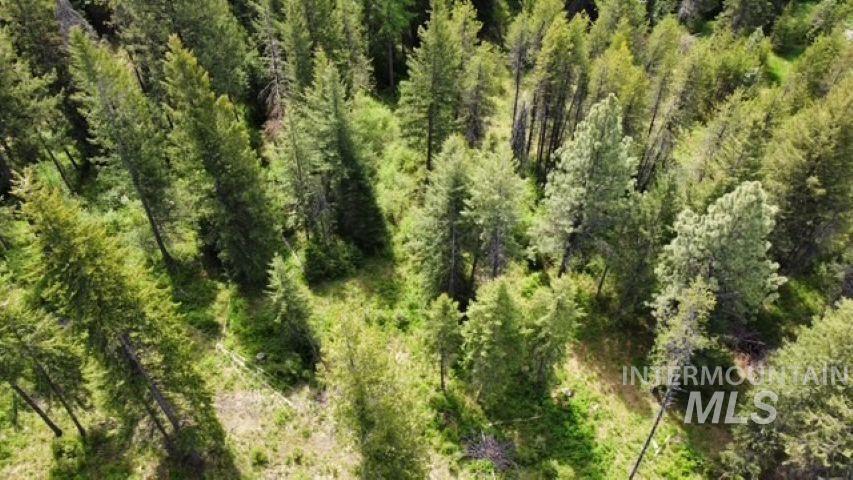 Tbd Old Avon Rd. Property Photo 3