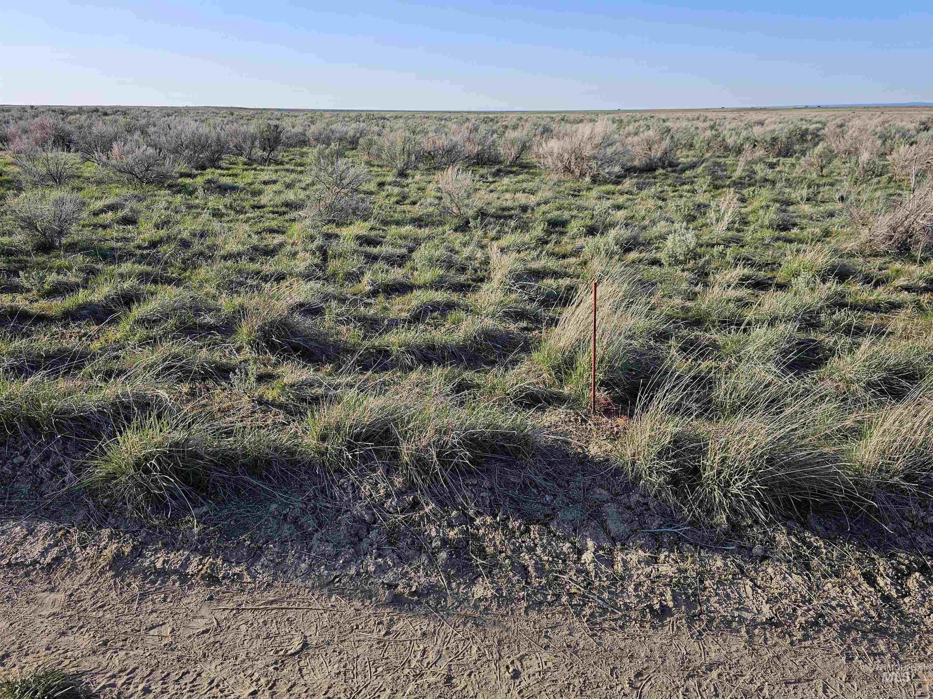 2350 Kunae East Road Property Photo 10