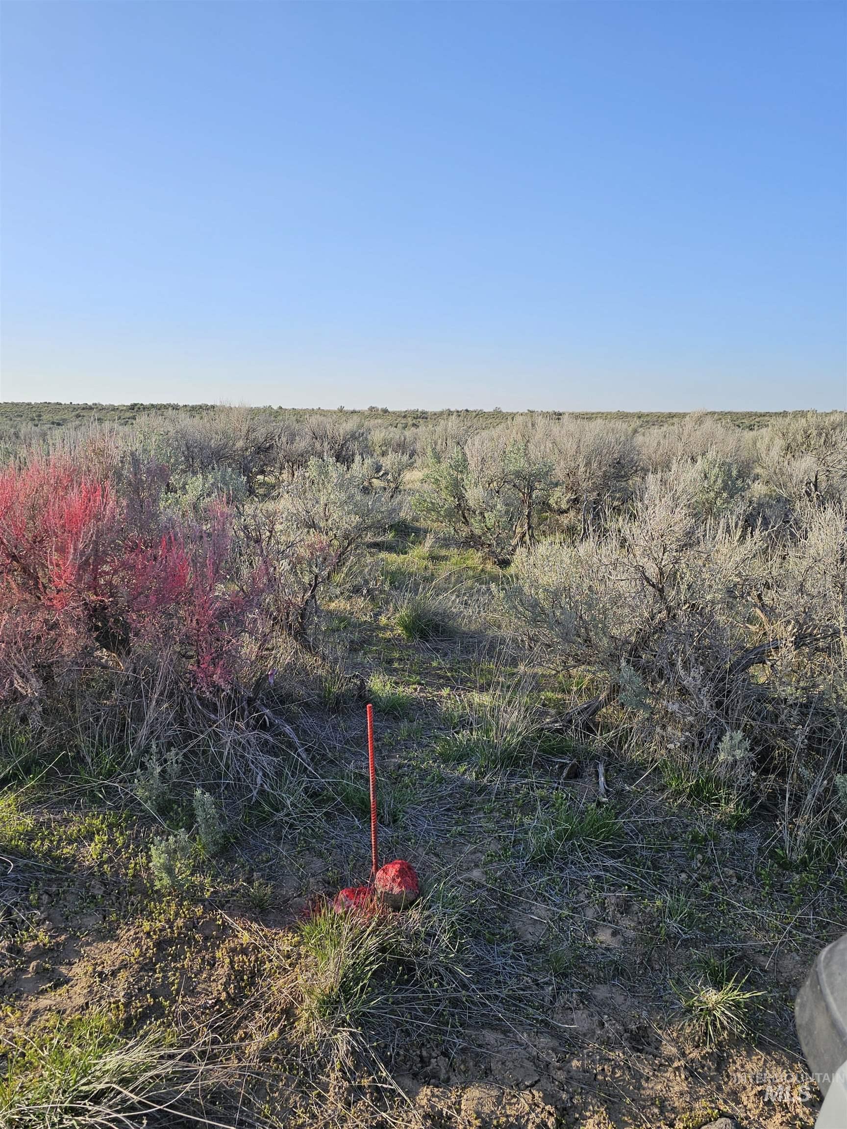 2350 Kunae East Road Property Photo 15