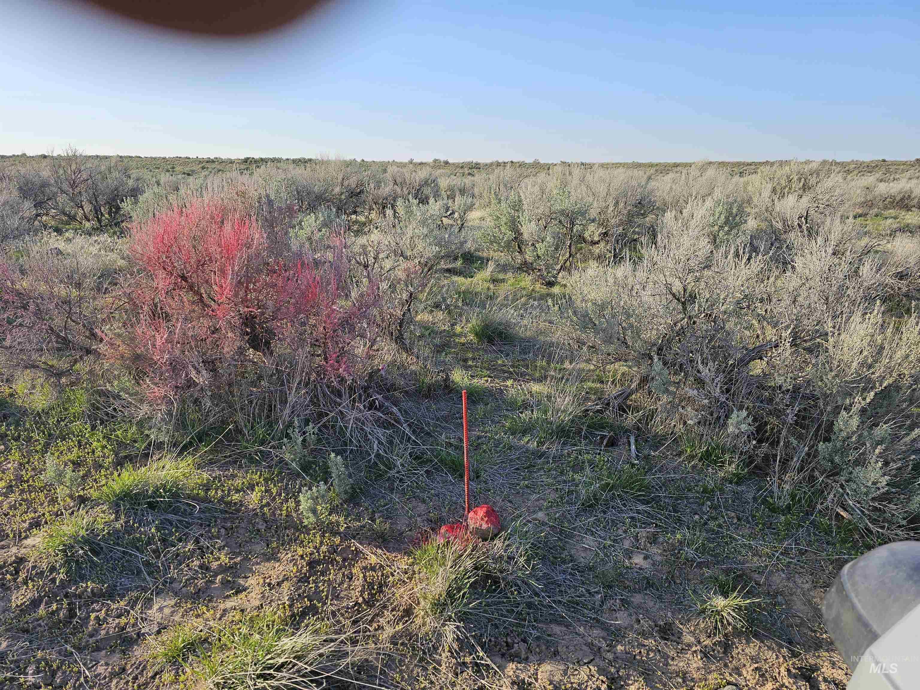 2350 Kunae East Road Property Photo 16