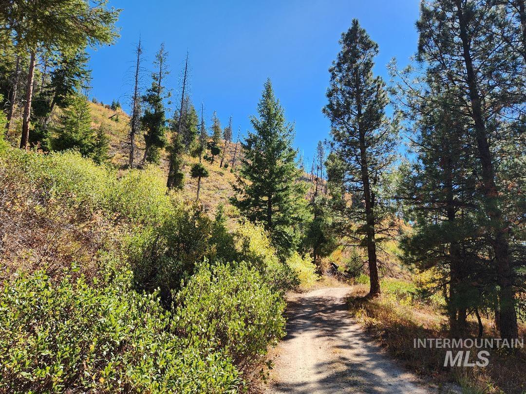 Tbd Marsh Creek Property Photo 4