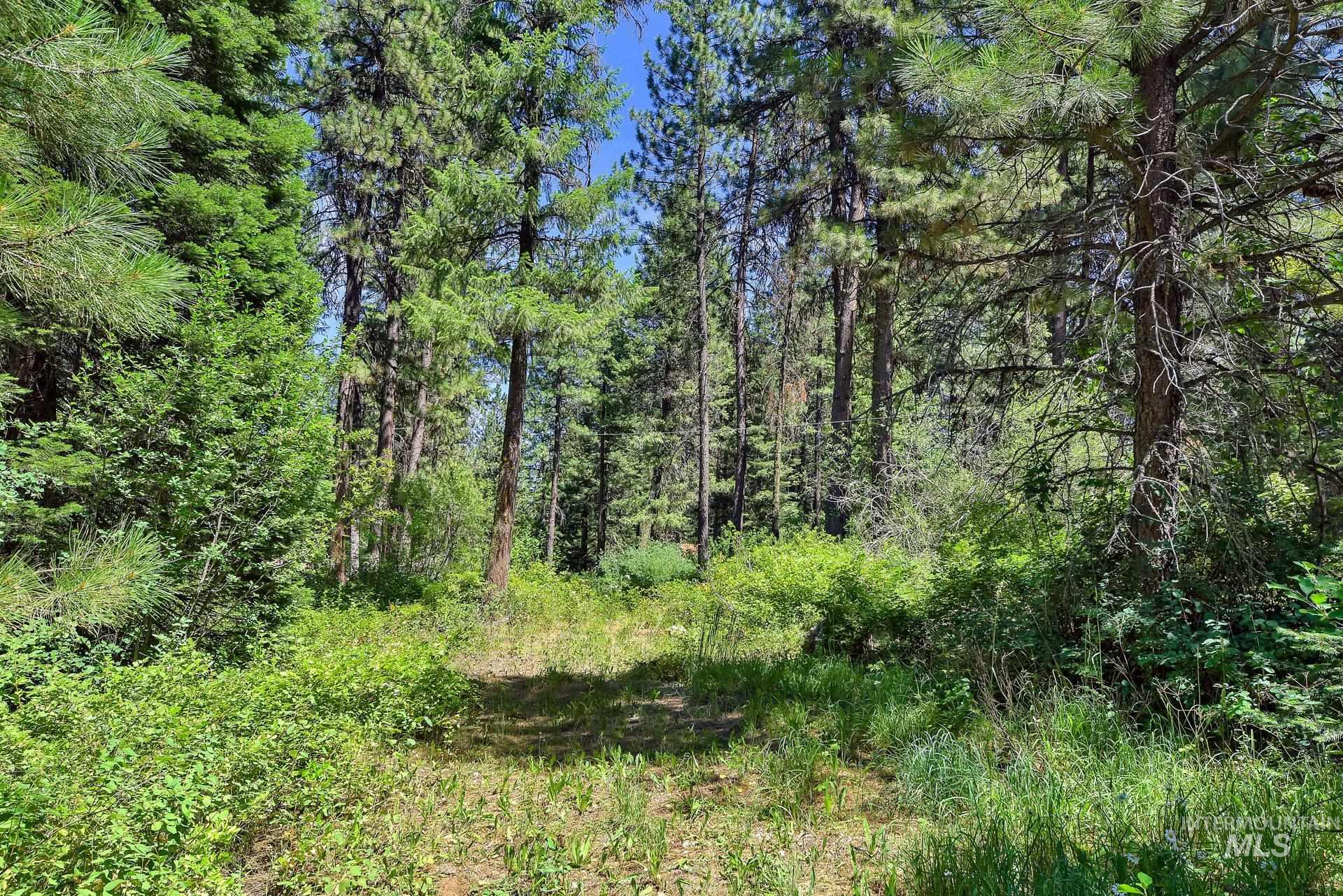 30 & Tbd Syringa Property Photo