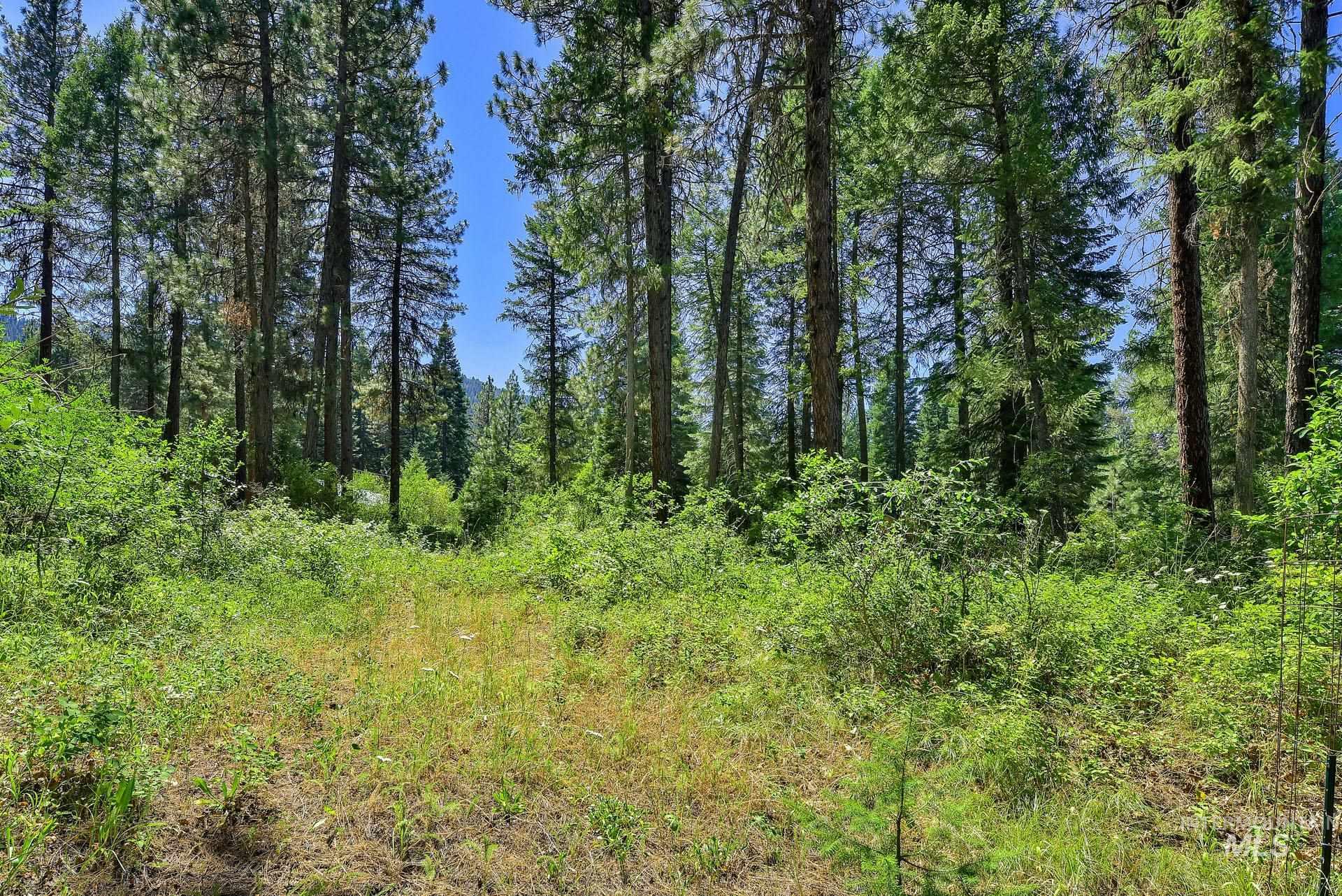 30 & Tbd Syringa Property Photo 4