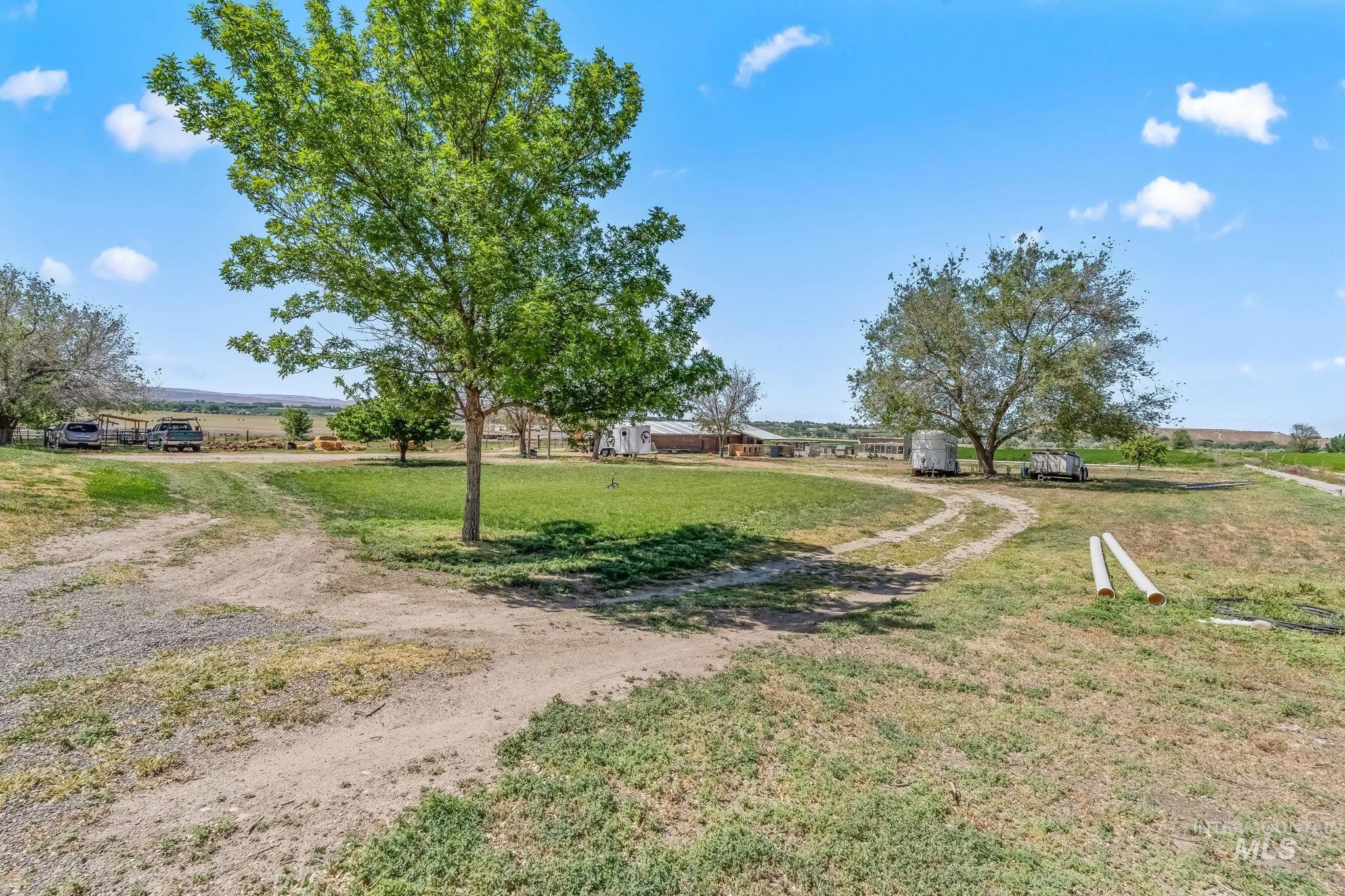 2524 Succor Creek Road Property Photo 29