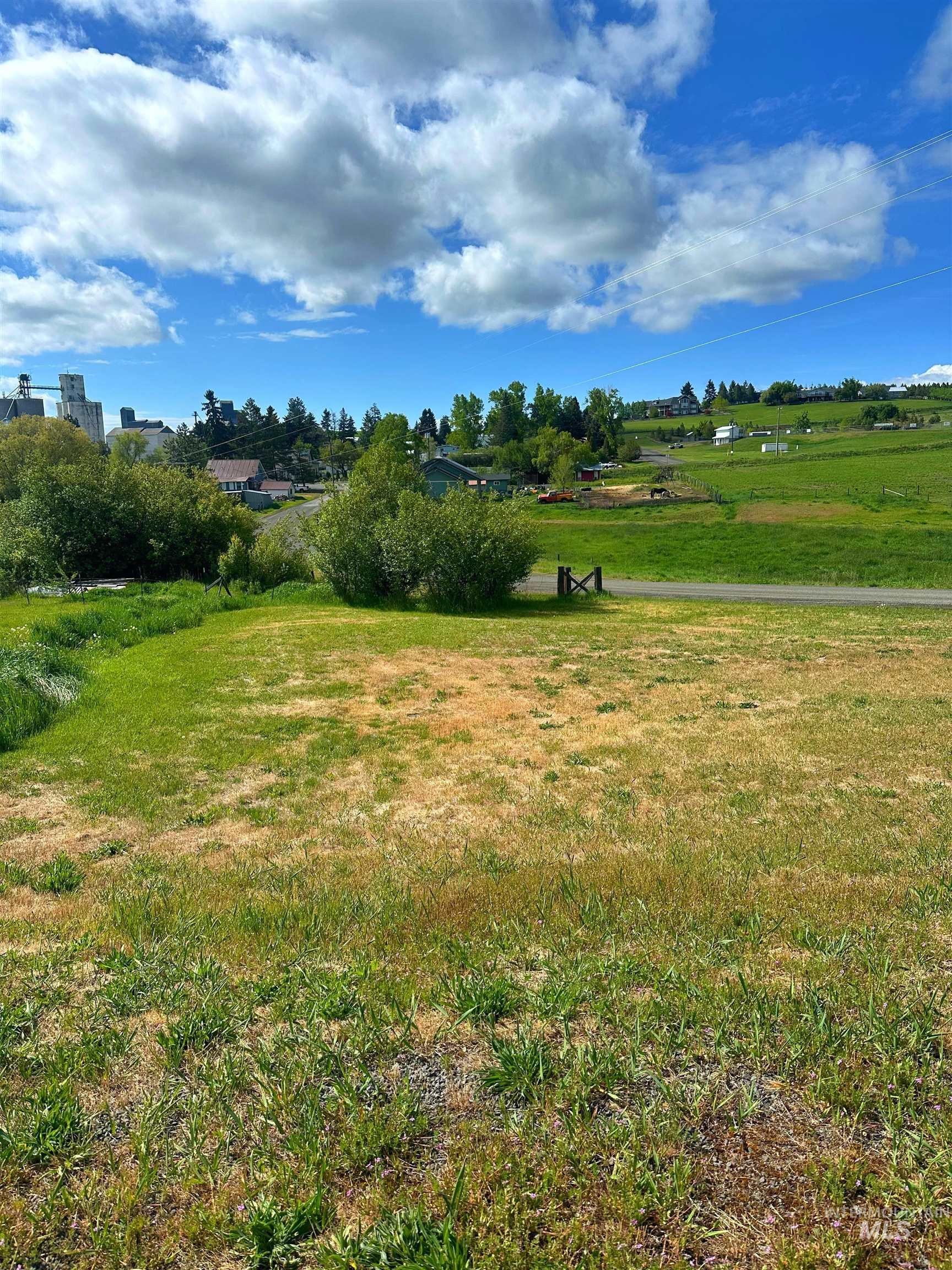 811 Trestle Dr Property Photo 4