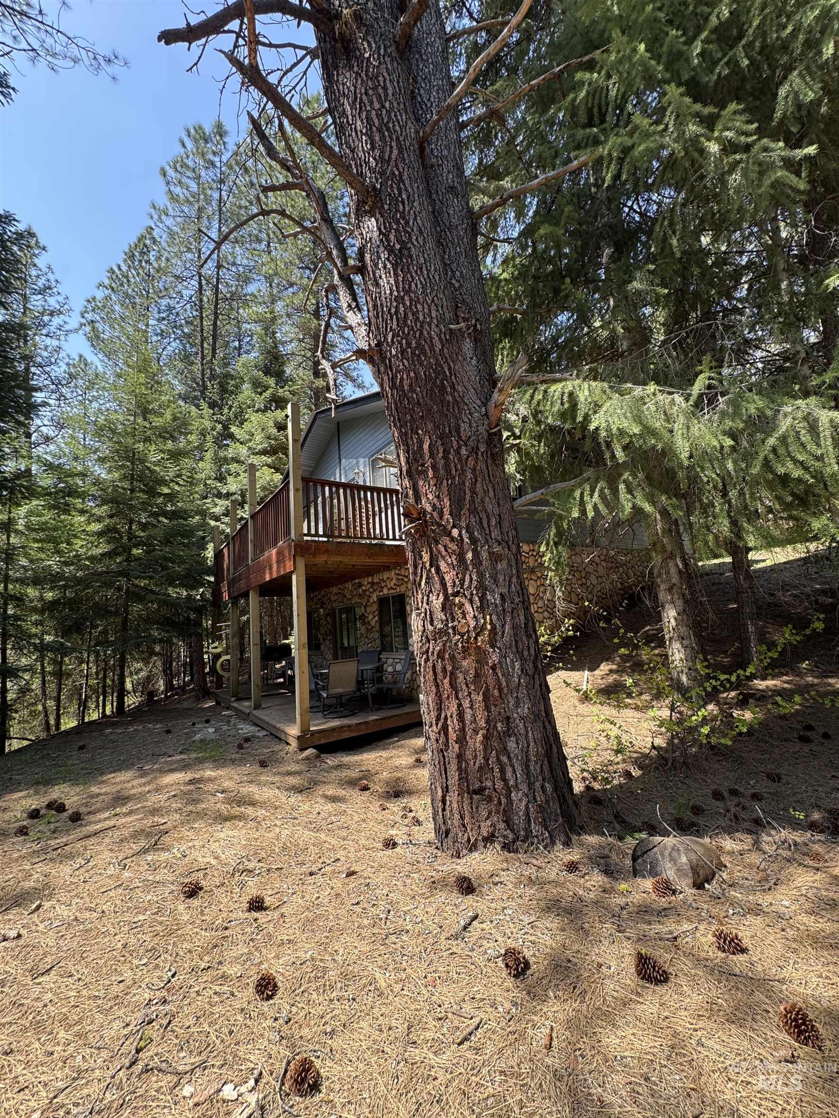 2857 Hillman Basin Rd Property Photo 4