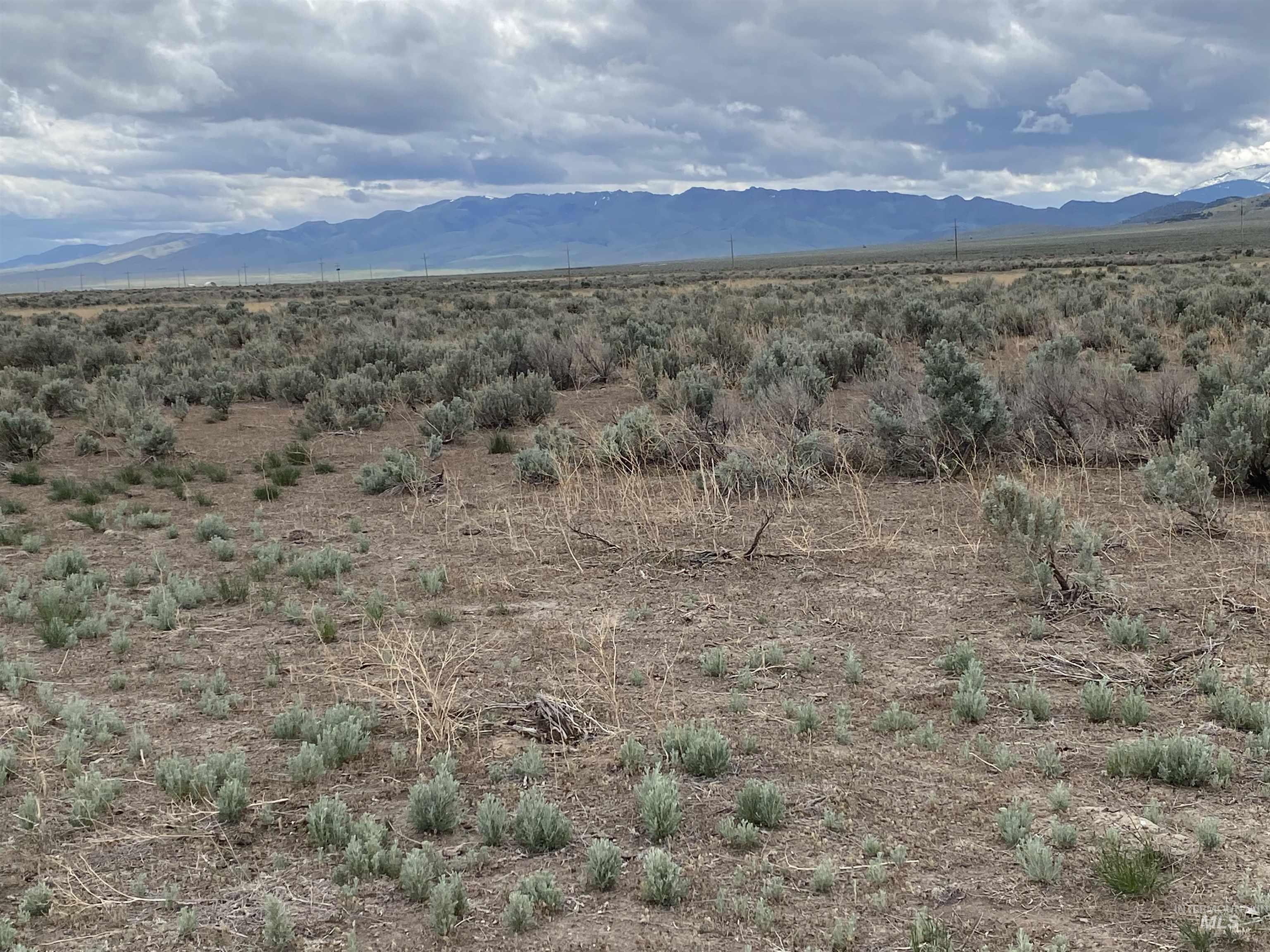 Tbd Hwy 81 Property Photo 32