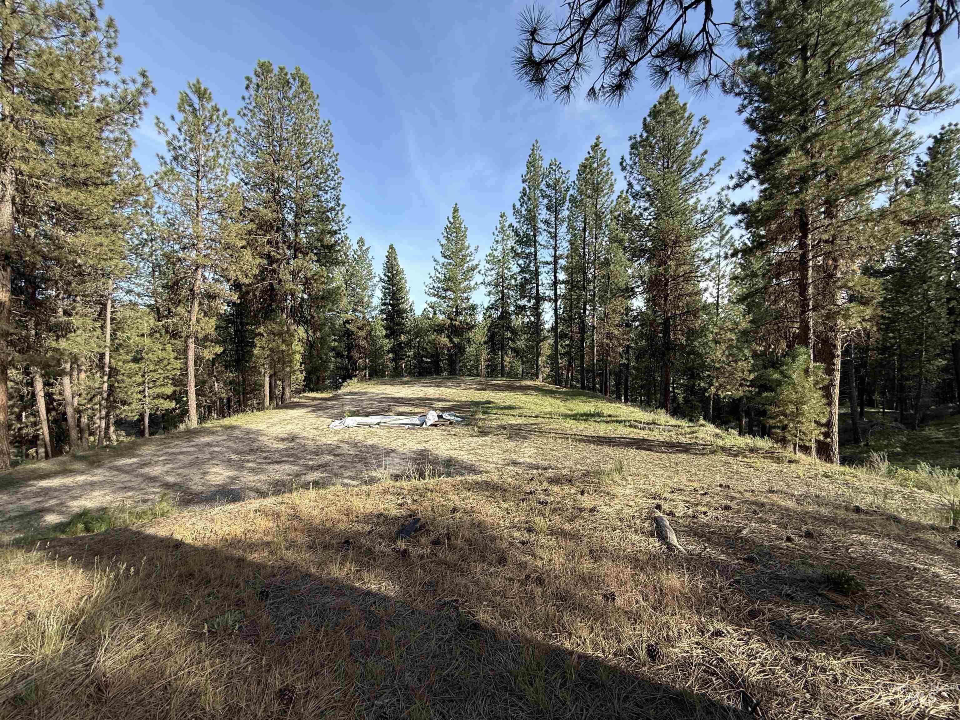 33 N Meadow Creek Dr. Property Photo 2