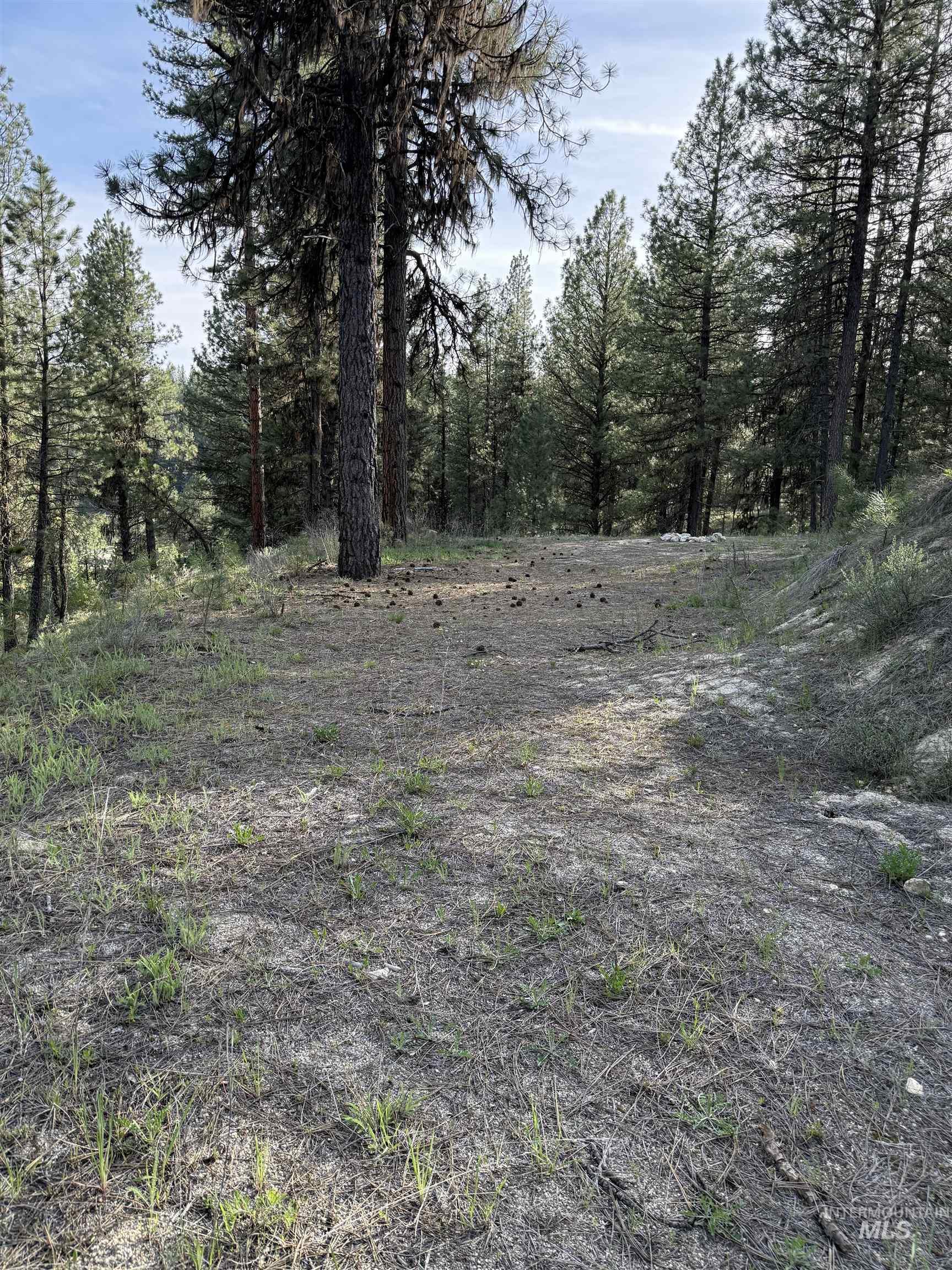 33 N Meadow Creek Dr. Property Photo 14