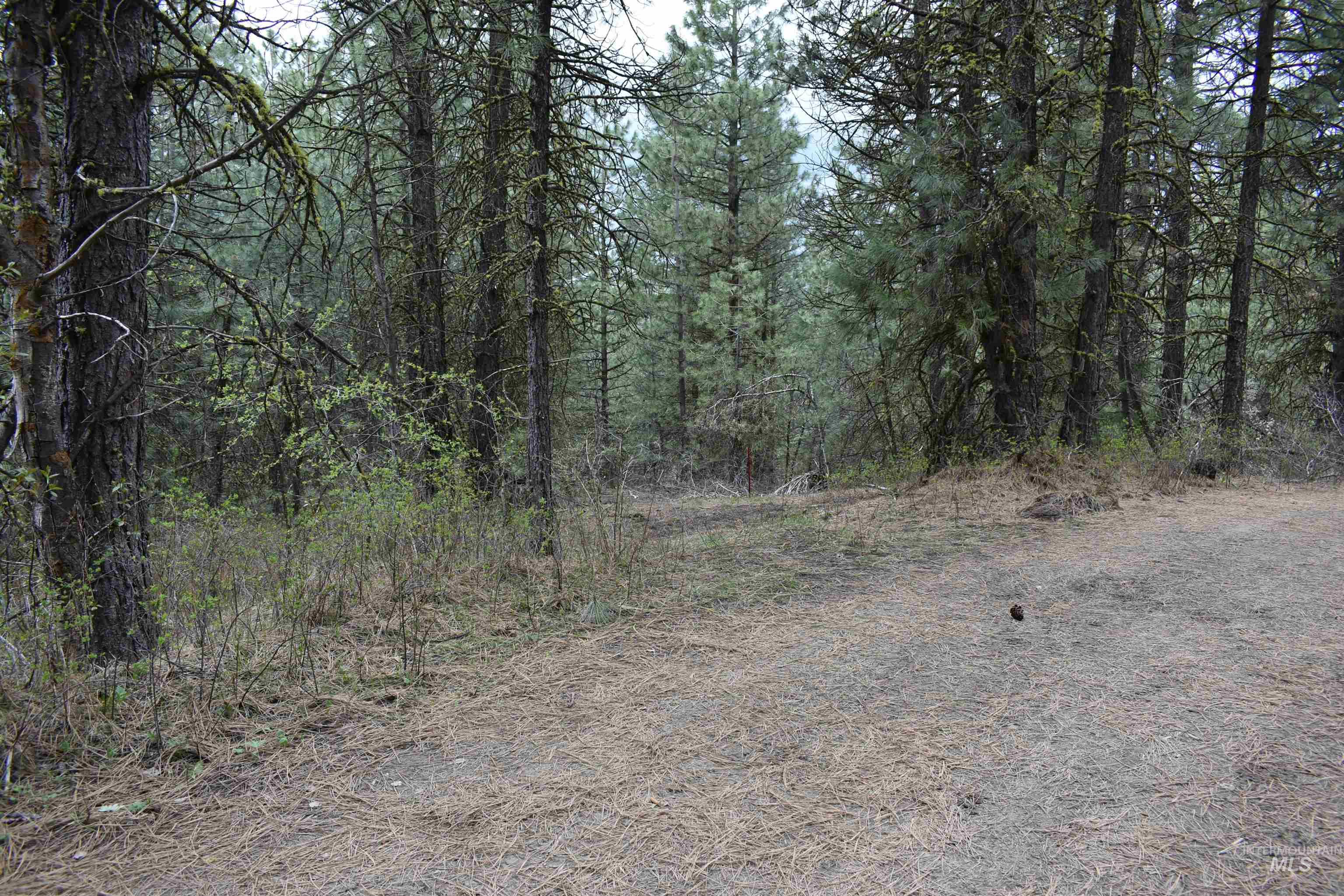 Tbd Outlaw Trail Property Photo