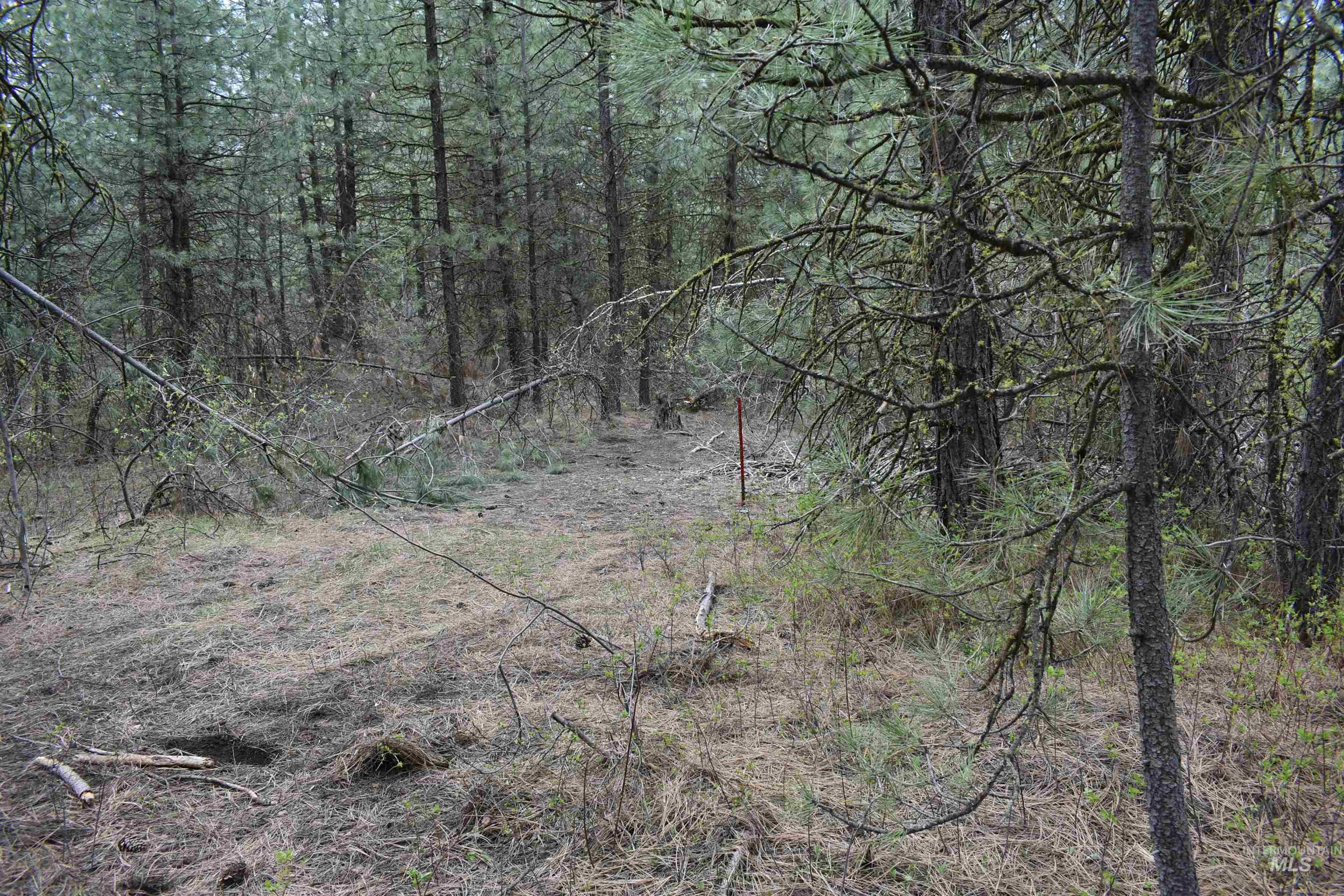Tbd Outlaw Trail Property Photo 2
