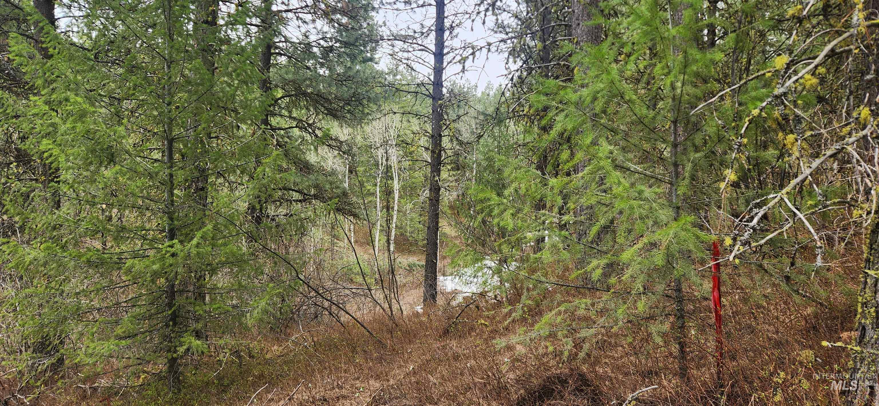Tbd Outlaw Trail Property Photo 4