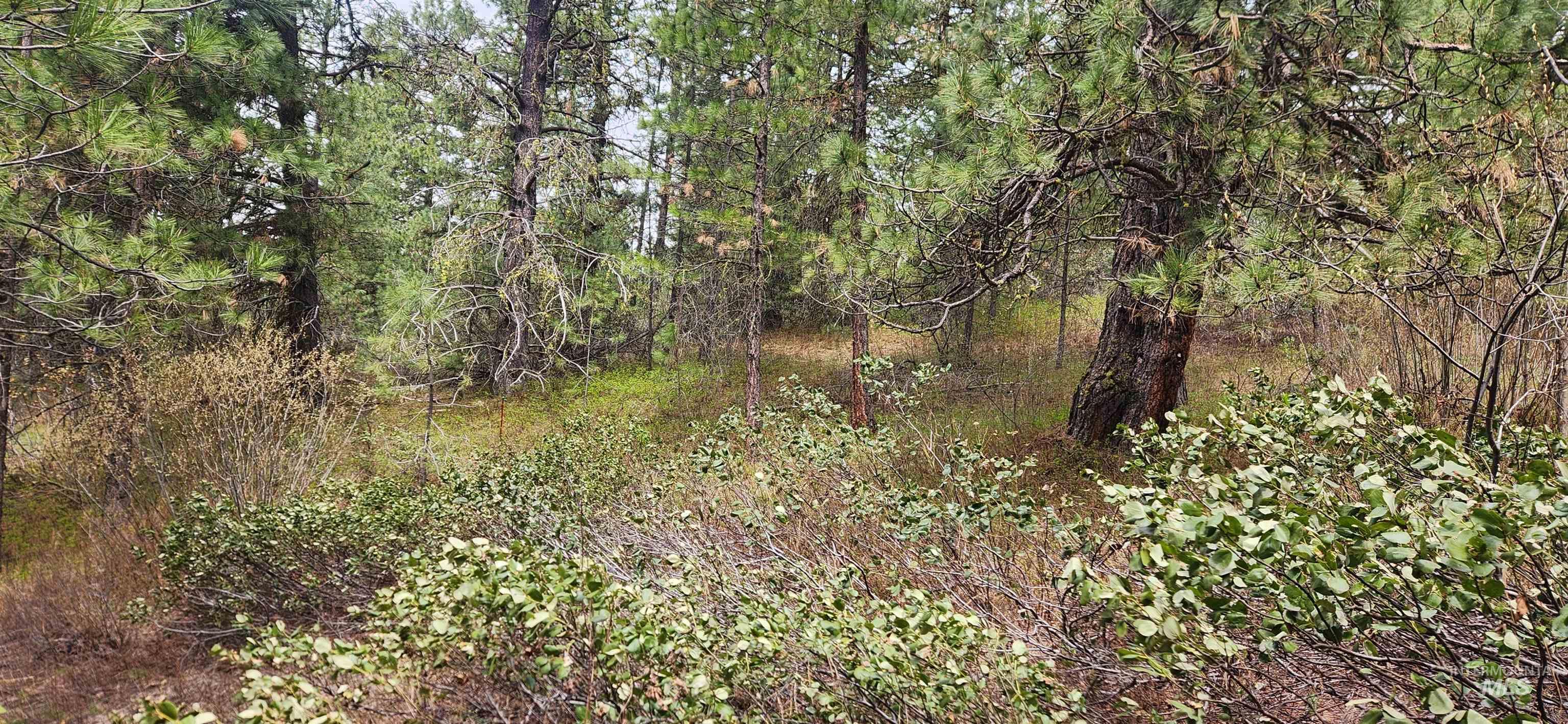 Tbd Outlaw Trail Property Photo 5