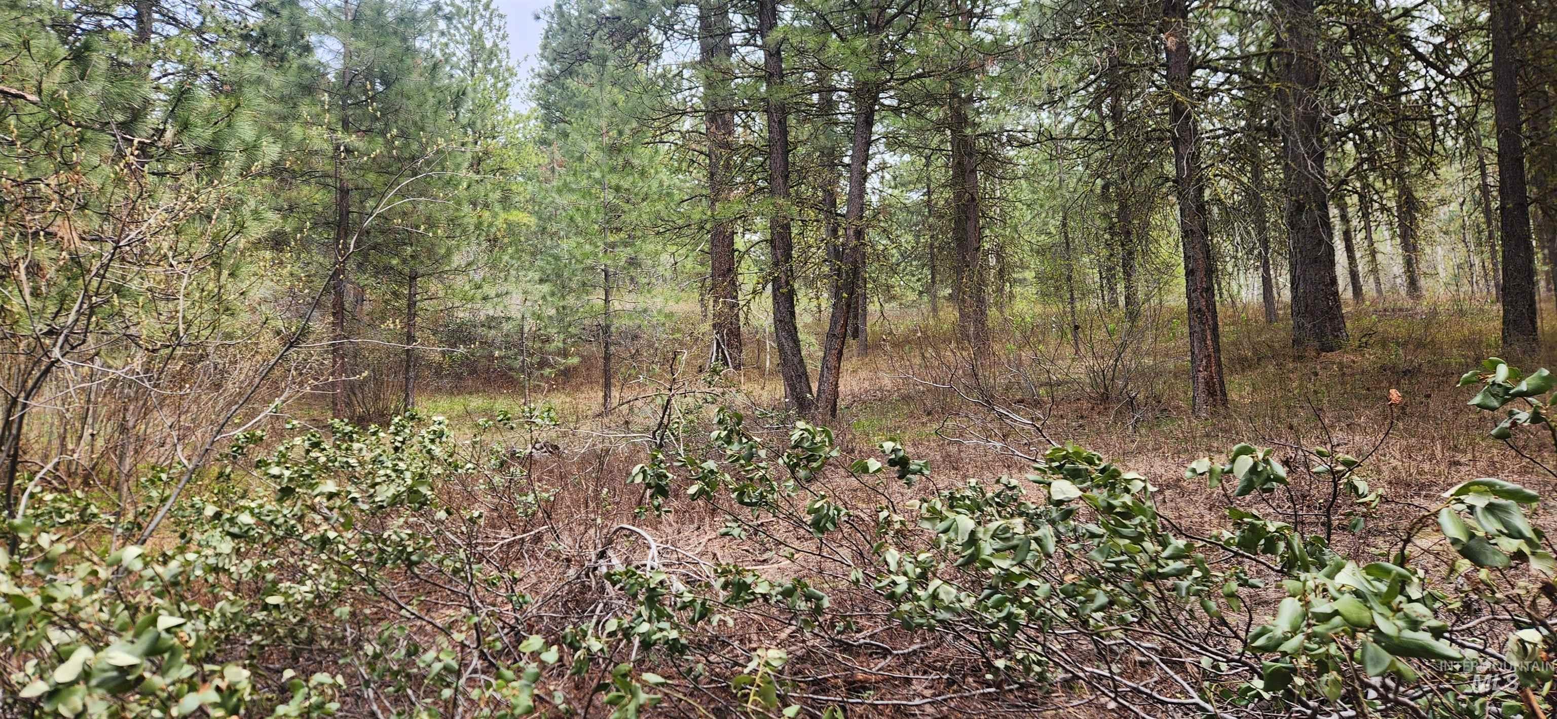 Tbd Outlaw Trail Property Photo 6