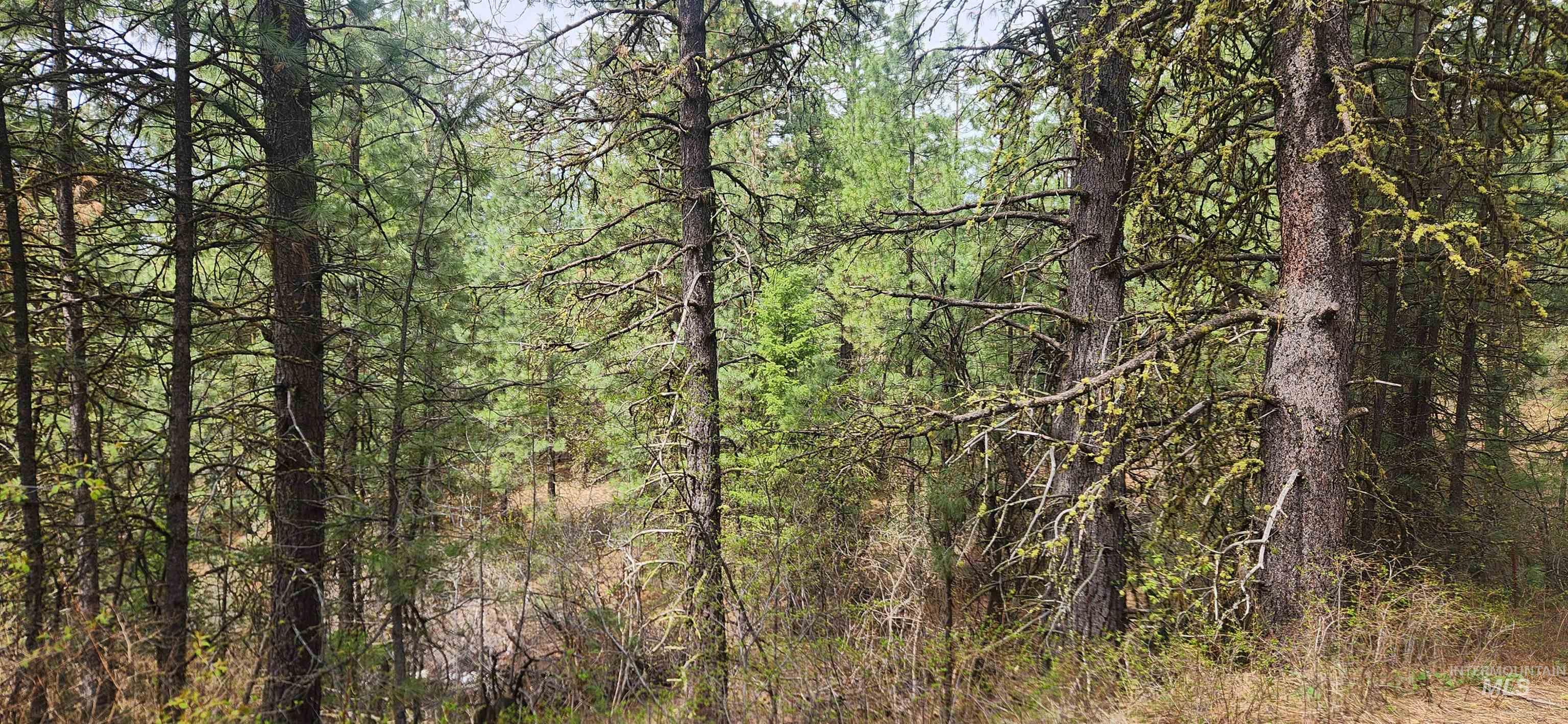 Tbd Outlaw Trail Property Photo 8