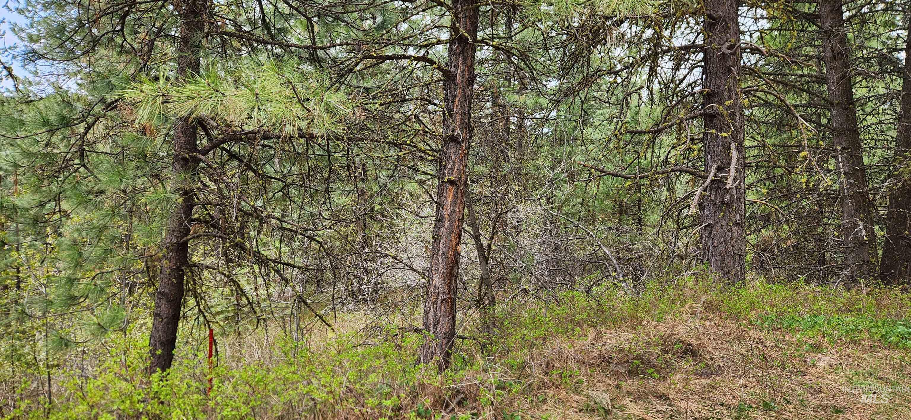 Tbd Outlaw Trail Property Photo 9