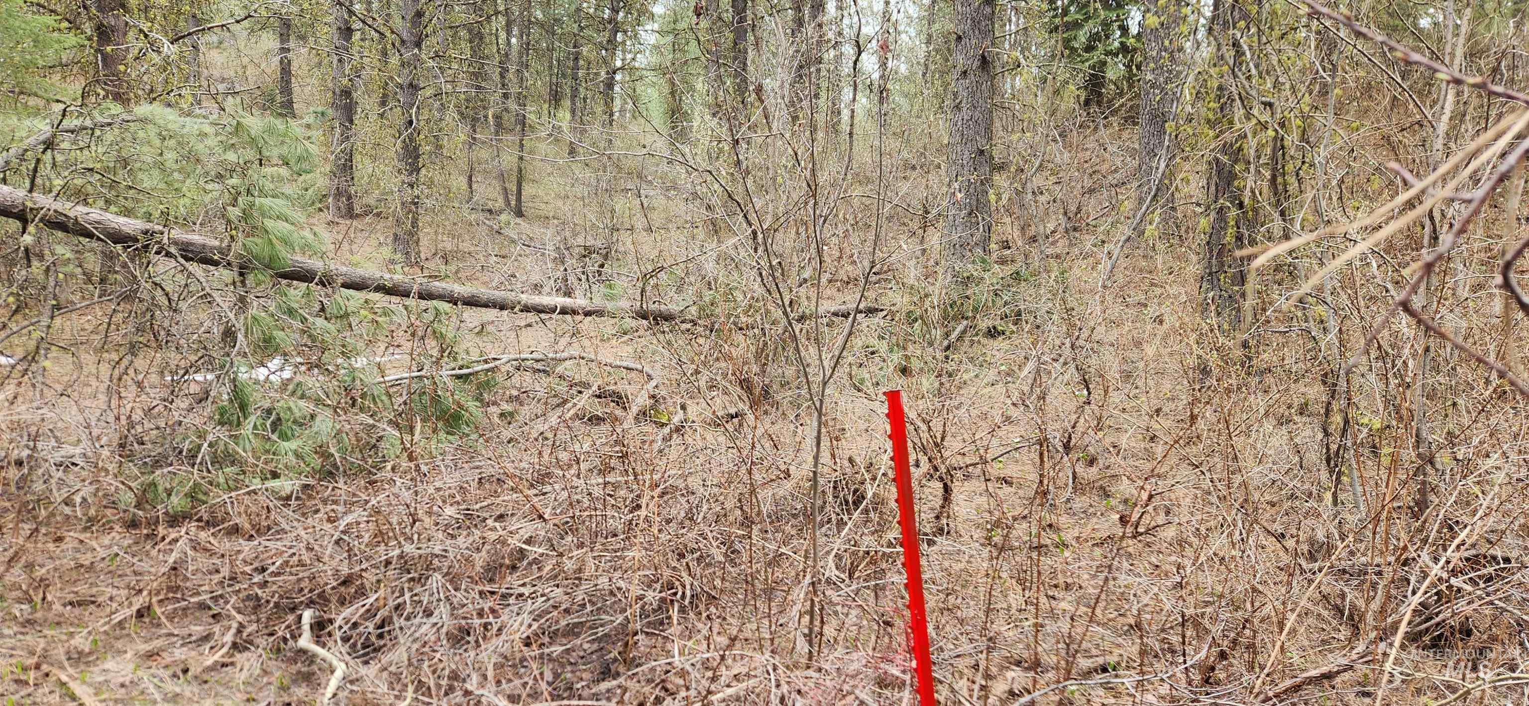 Tbd Outlaw Trail Property Photo 14
