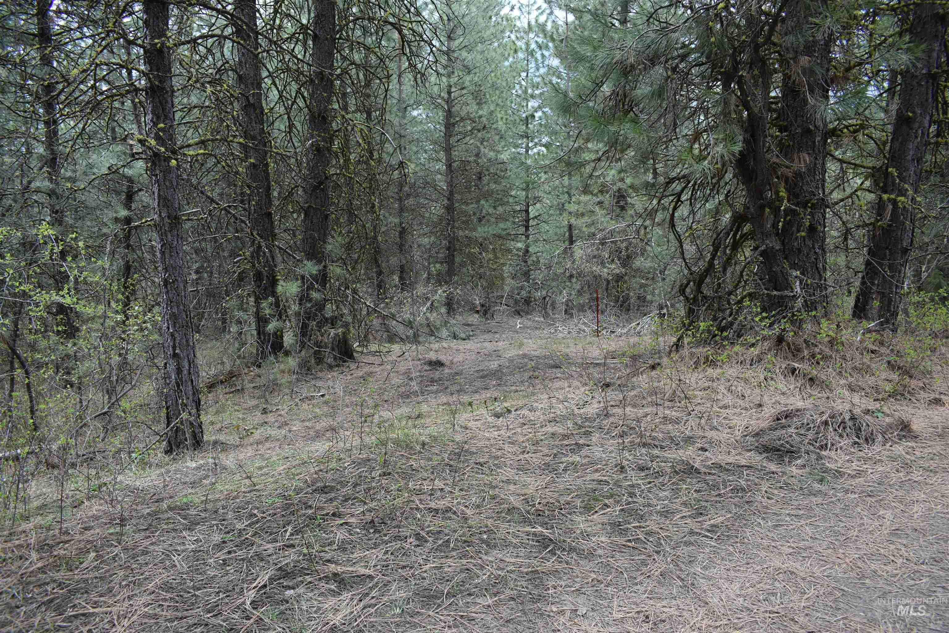 Tbd Outlaw Trail Property Photo
